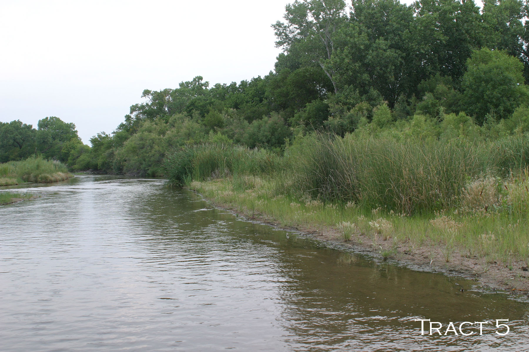 Yaggy Plantation property picture 18 of 54