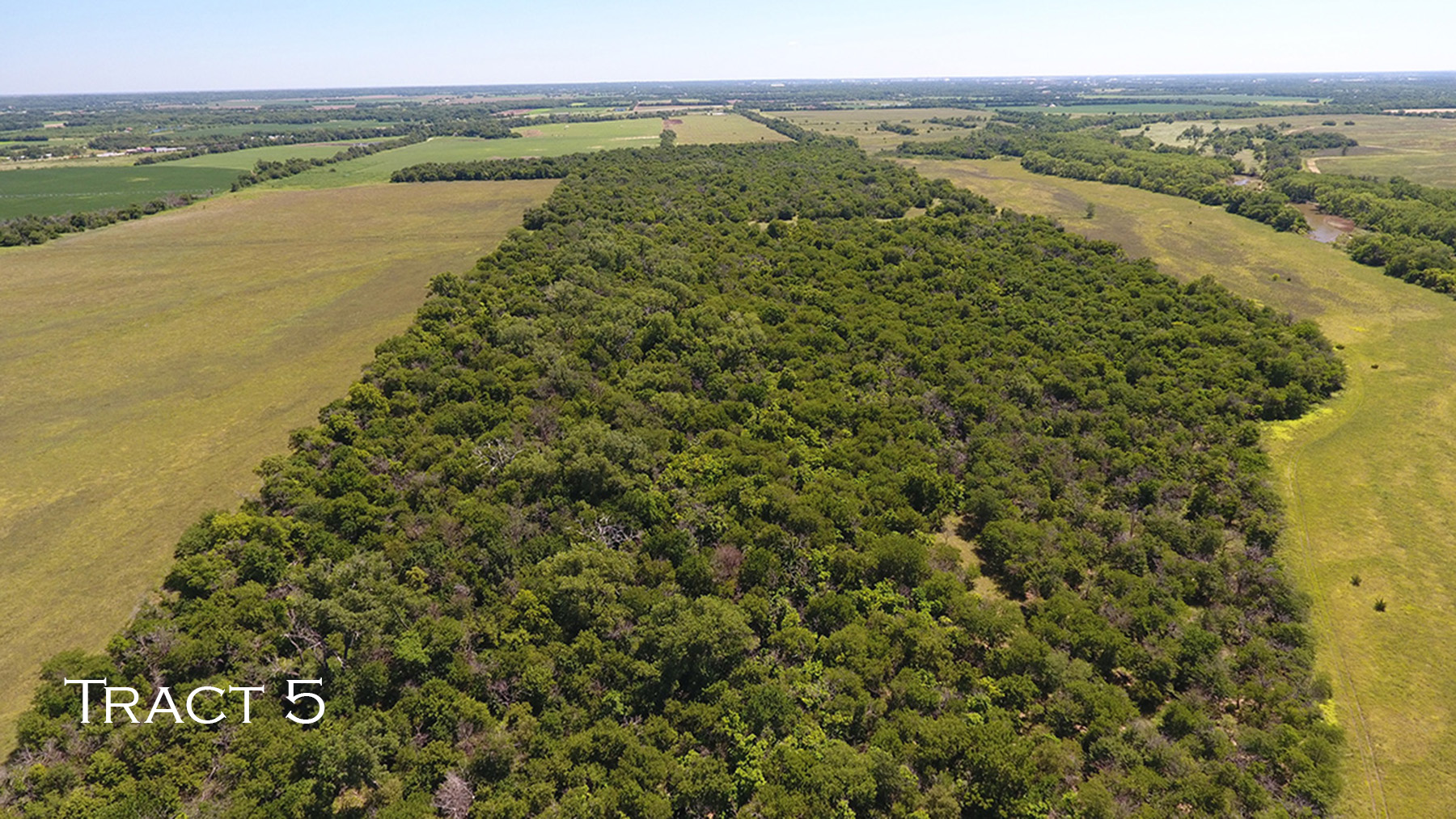 Yaggy Plantation property picture 21 of 54