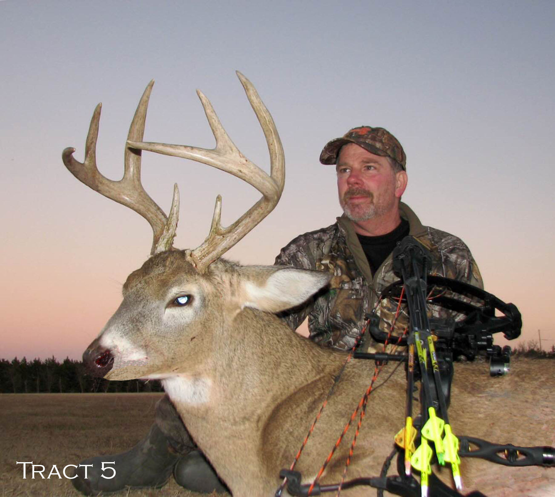 Yaggy Plantation property picture 19 of 54