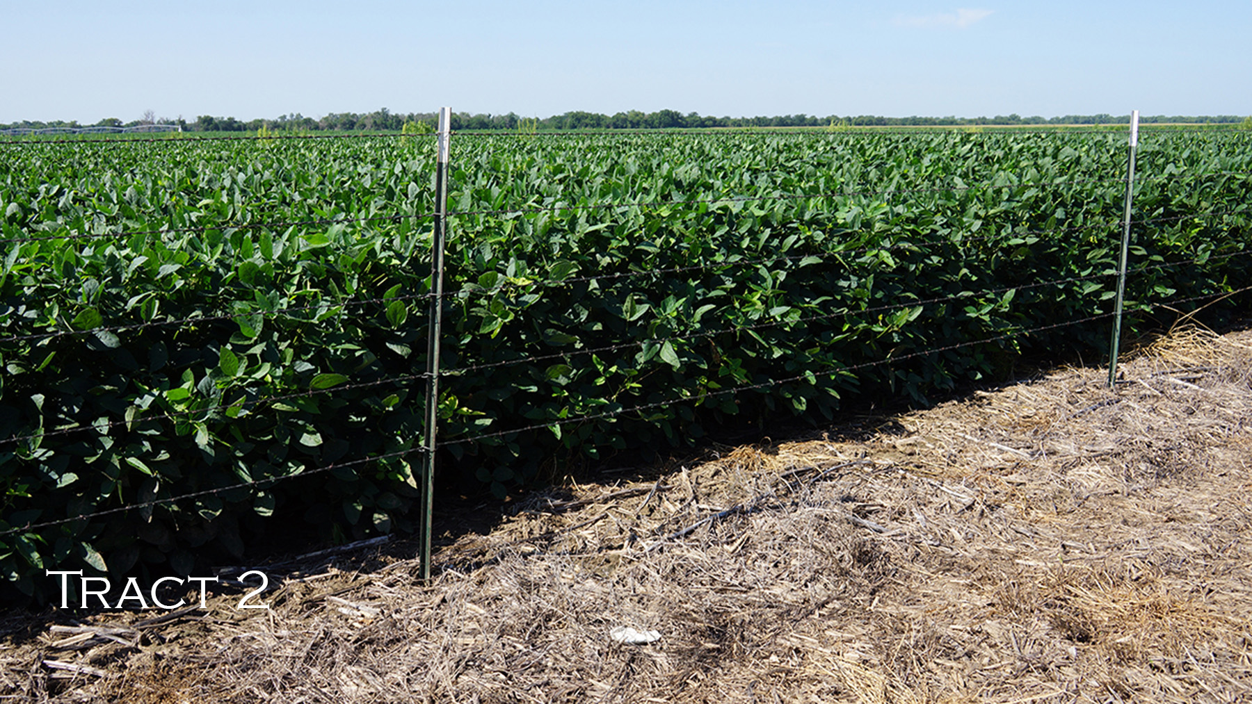 Yaggy Plantation property picture 46 of 54