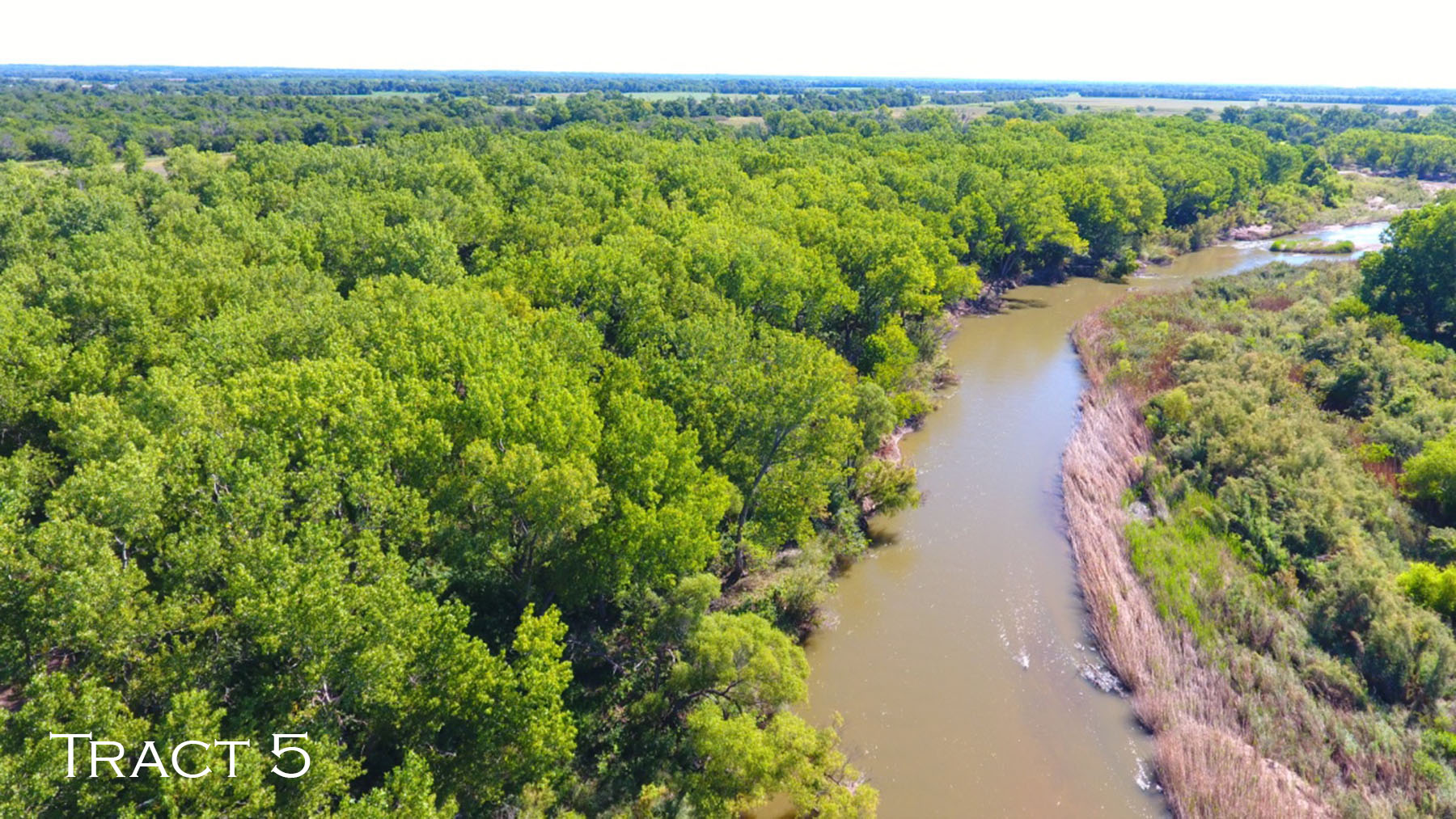 Yaggy Plantation property picture 13 of 54