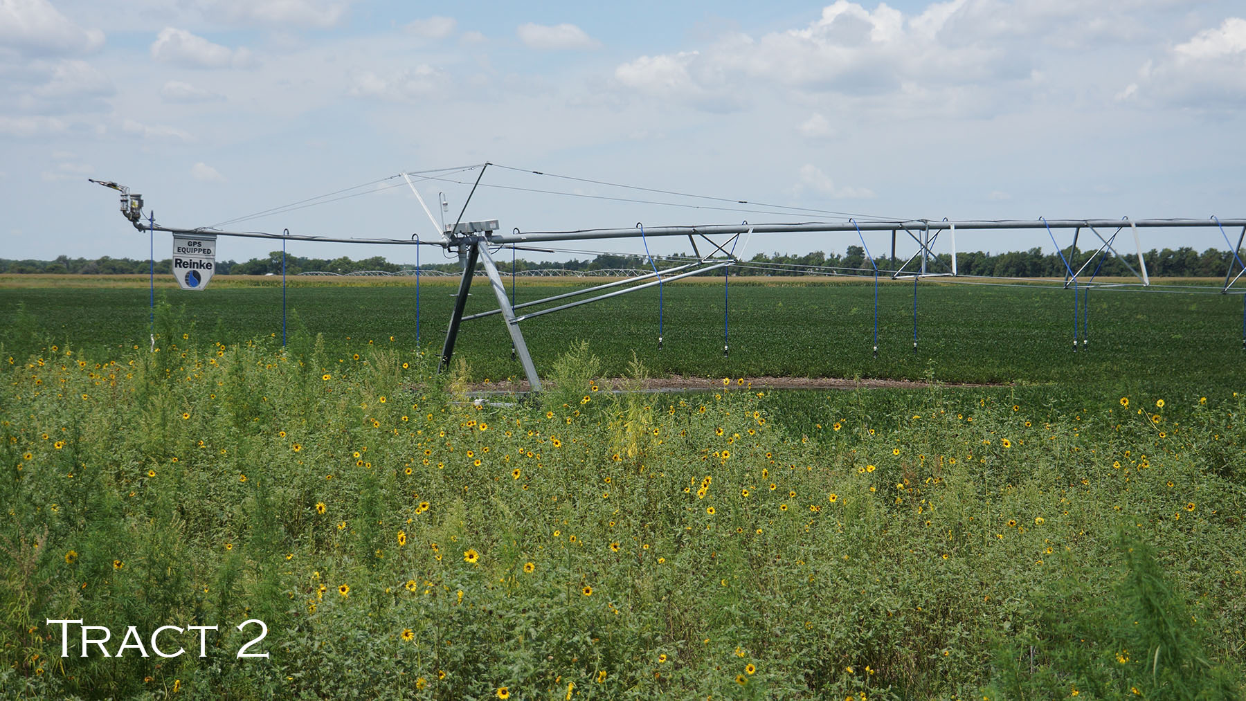 Yaggy Plantation property picture 44 of 54