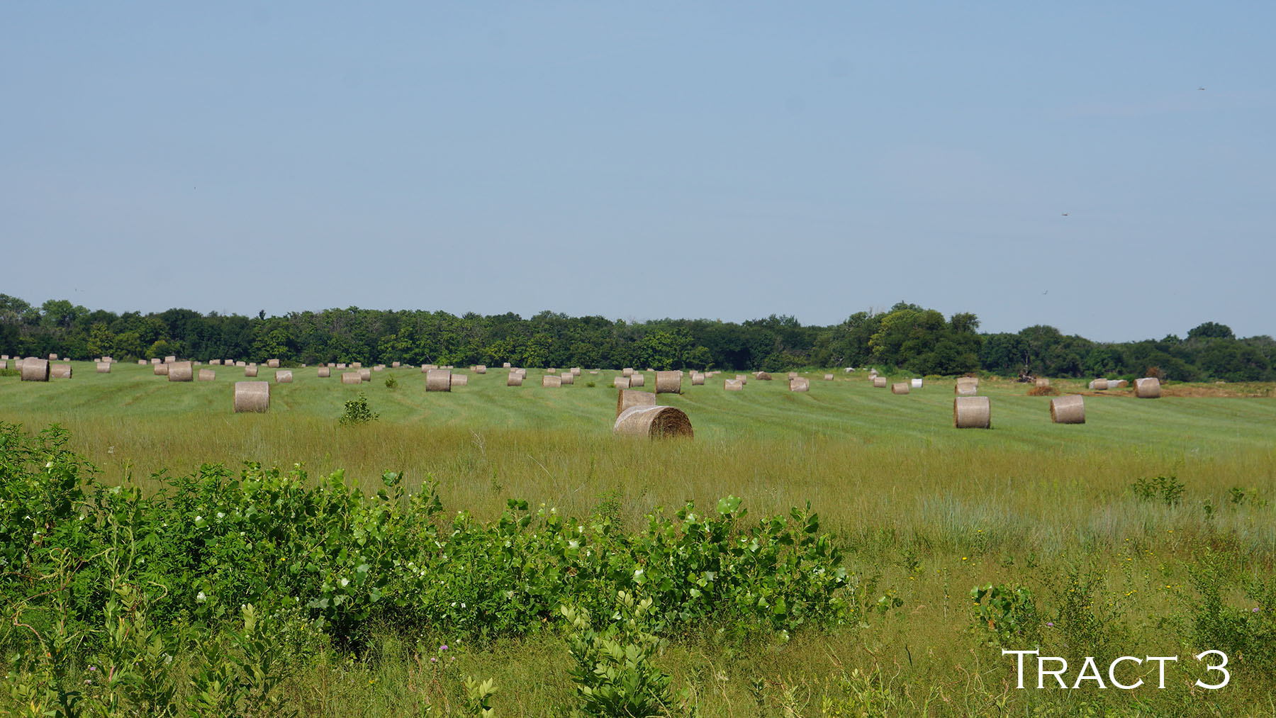 Yaggy Plantation property picture 50 of 54