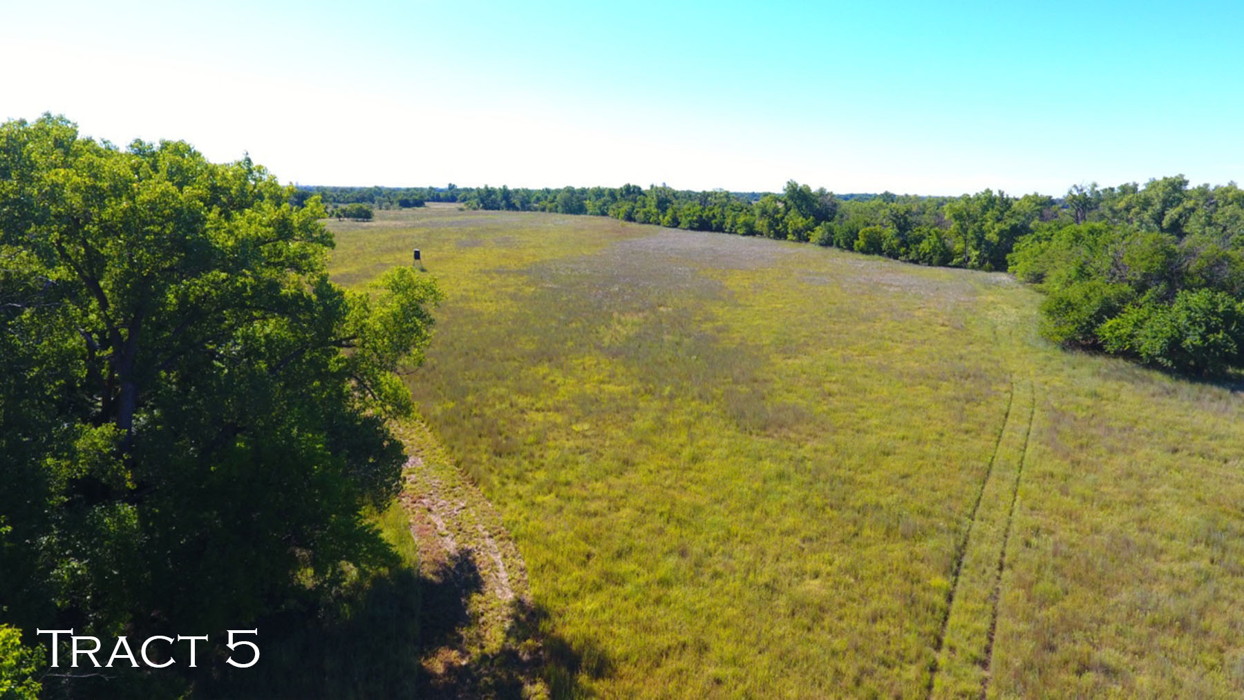 Yaggy Plantation property picture 20 of 54