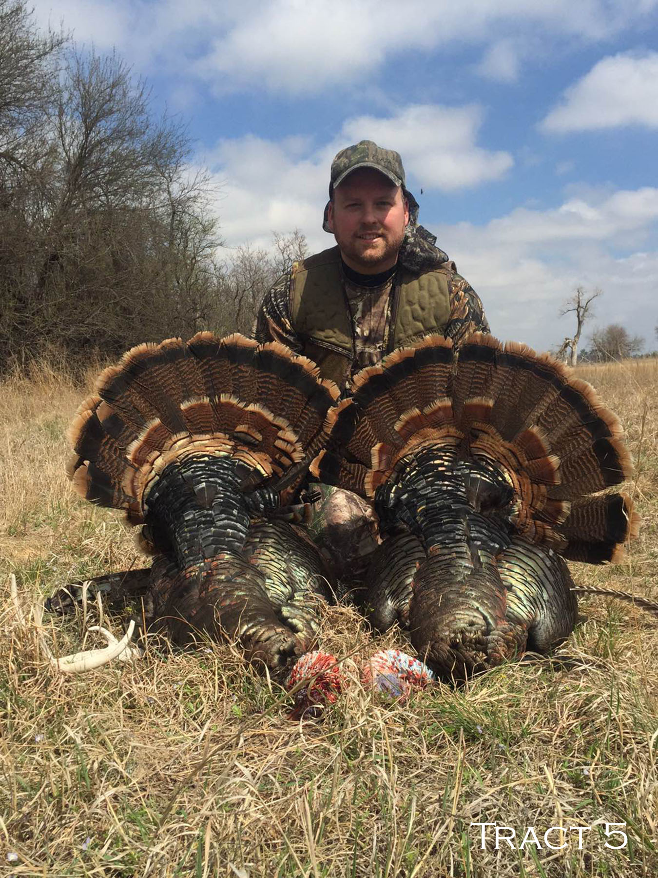 Yaggy Plantation property picture 17 of 54