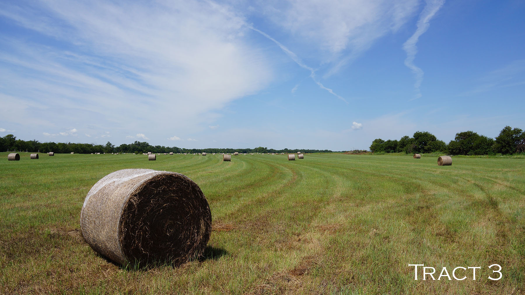 Yaggy Plantation property picture 48 of 54