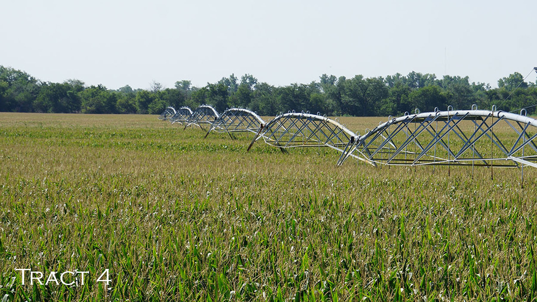 Yaggy Plantation property picture 52 of 54