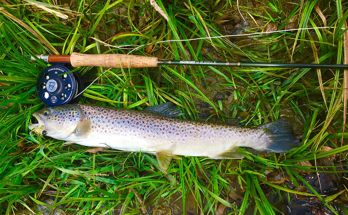 Cayuse Creek Ranch property picture 10 of 10