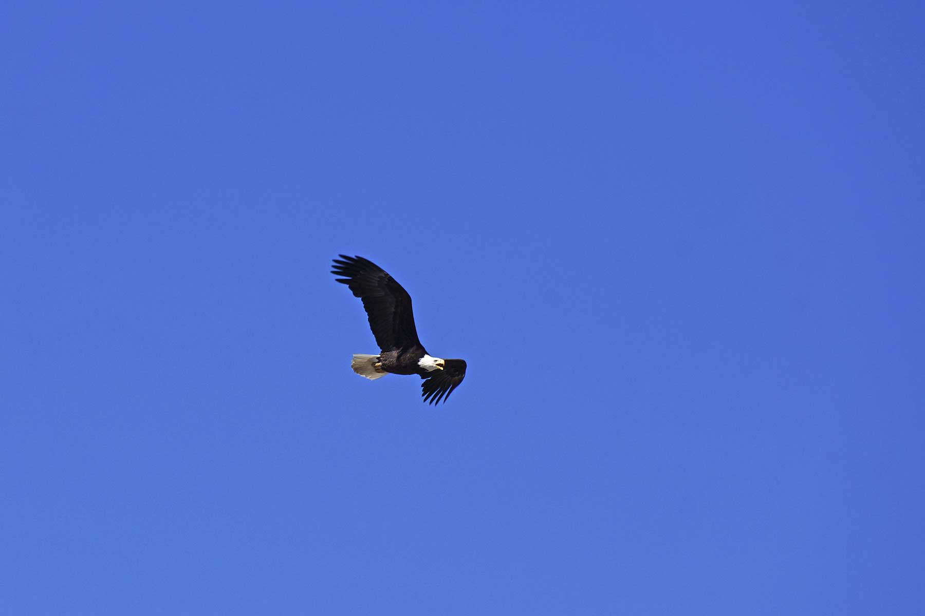 Frentress Ranch property picture 19 of 27