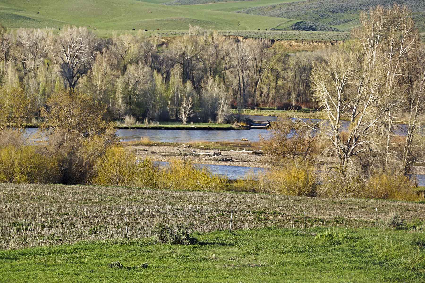 Frentress Ranch property picture 13 of 27