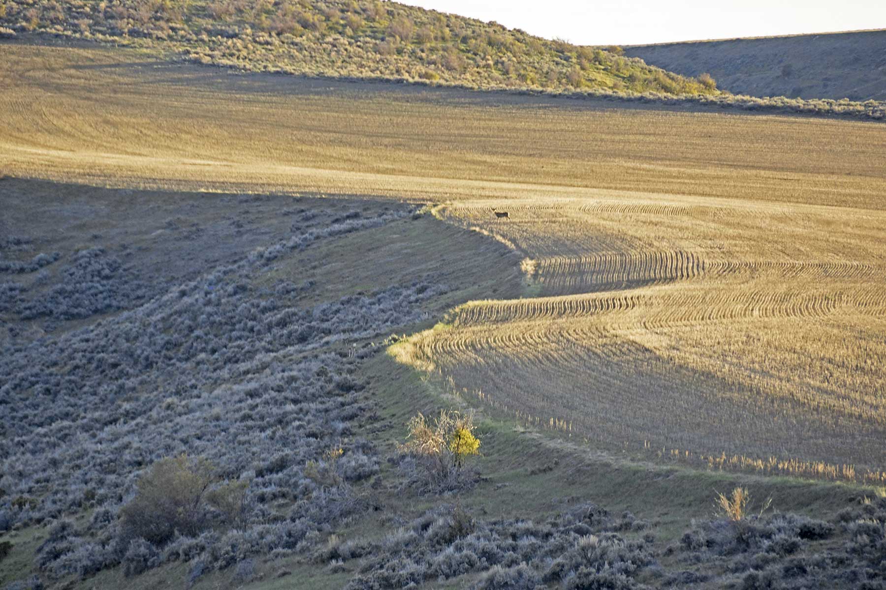 Frentress Ranch property picture 12 of 27