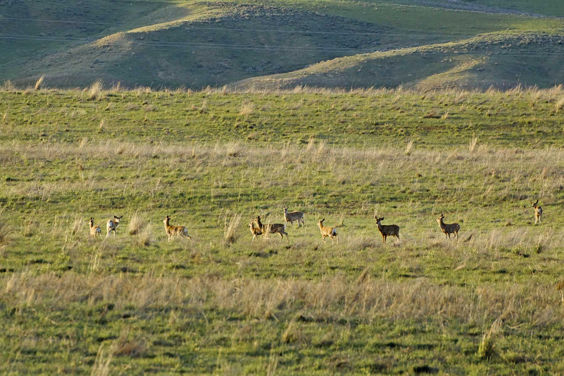 Frentress Ranch property picture 11 of 27