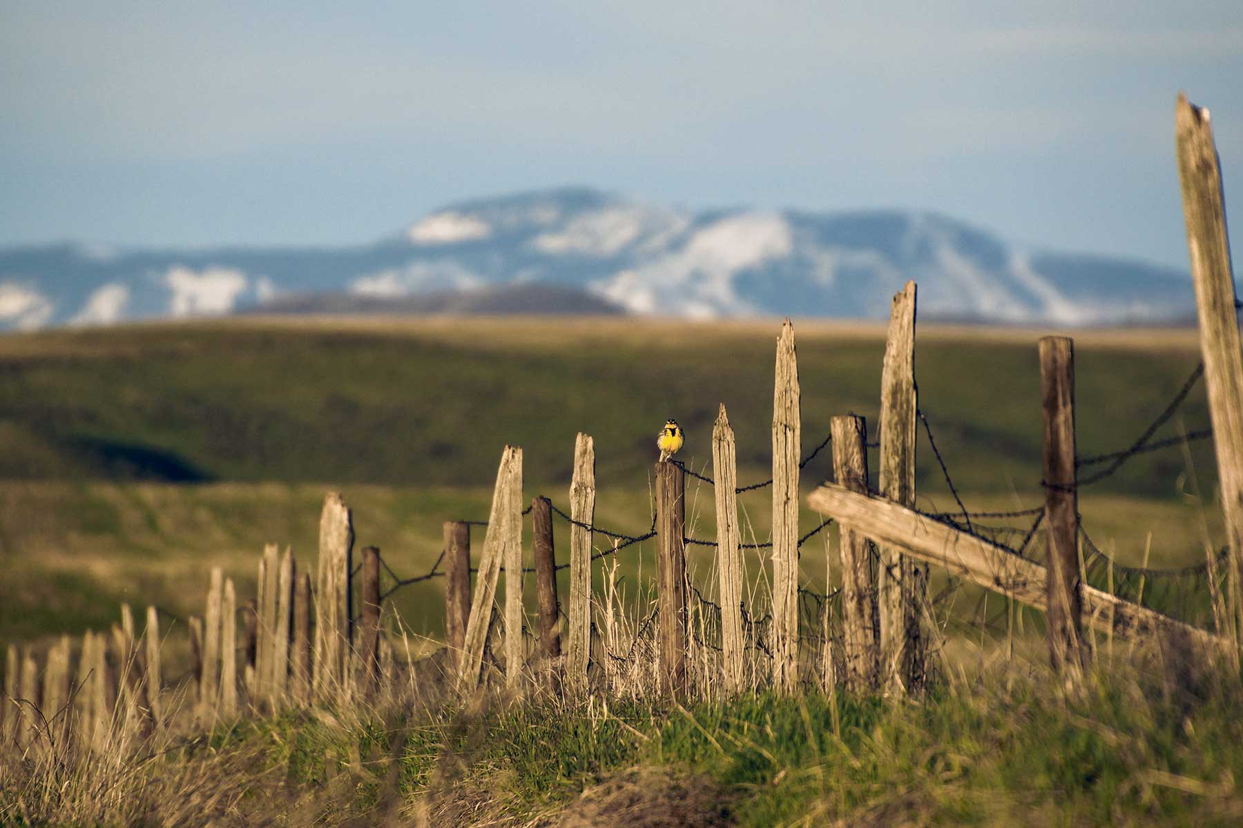 Frentress Ranch property picture 10 of 27