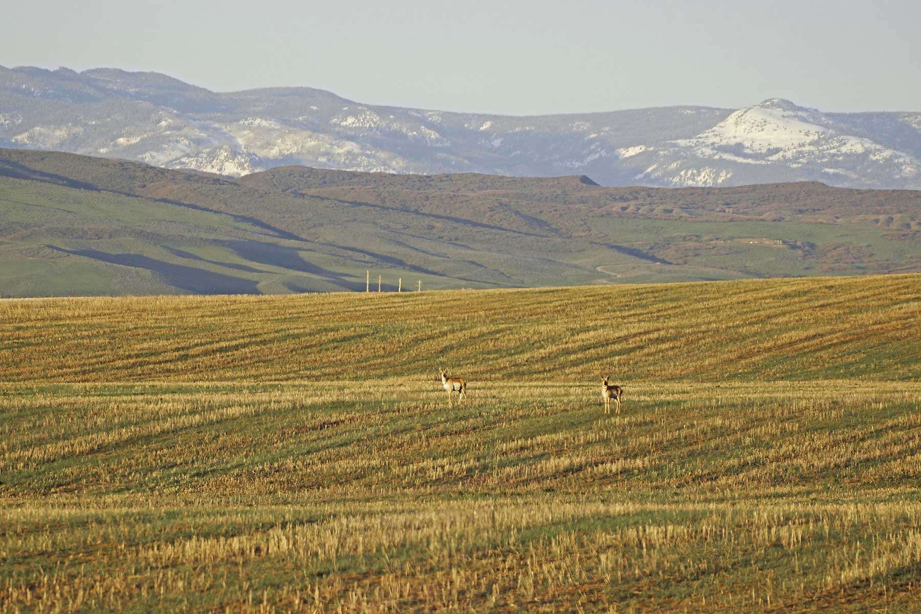 Frentress Ranch property picture 9 of 27