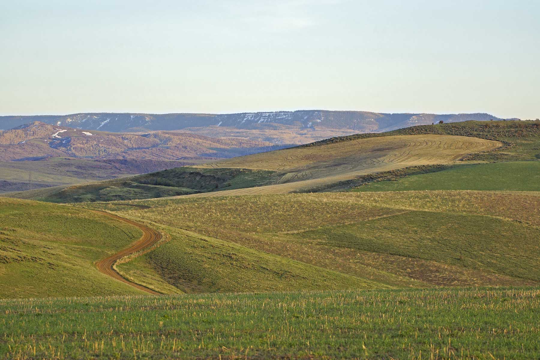 Frentress Ranch property picture 8 of 27