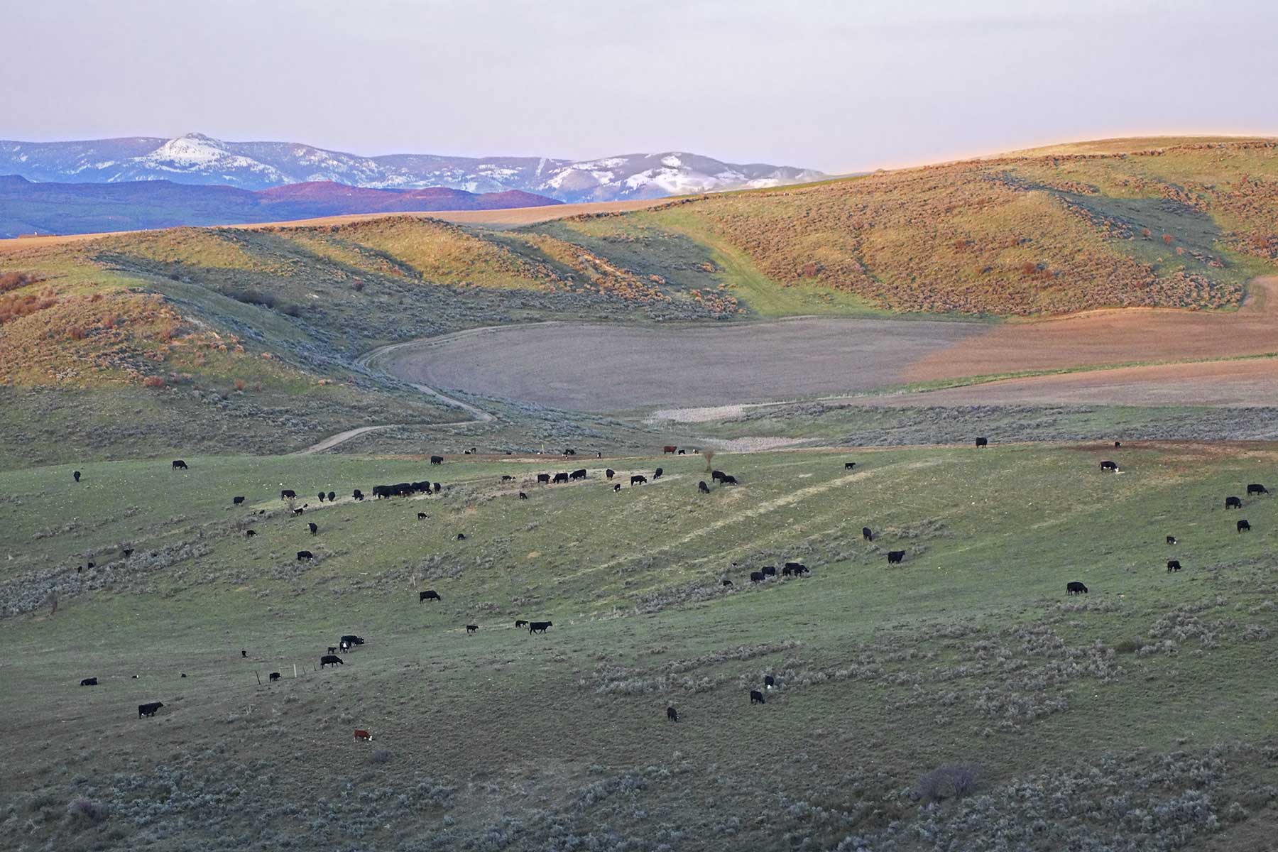 Frentress Ranch property picture 7 of 27