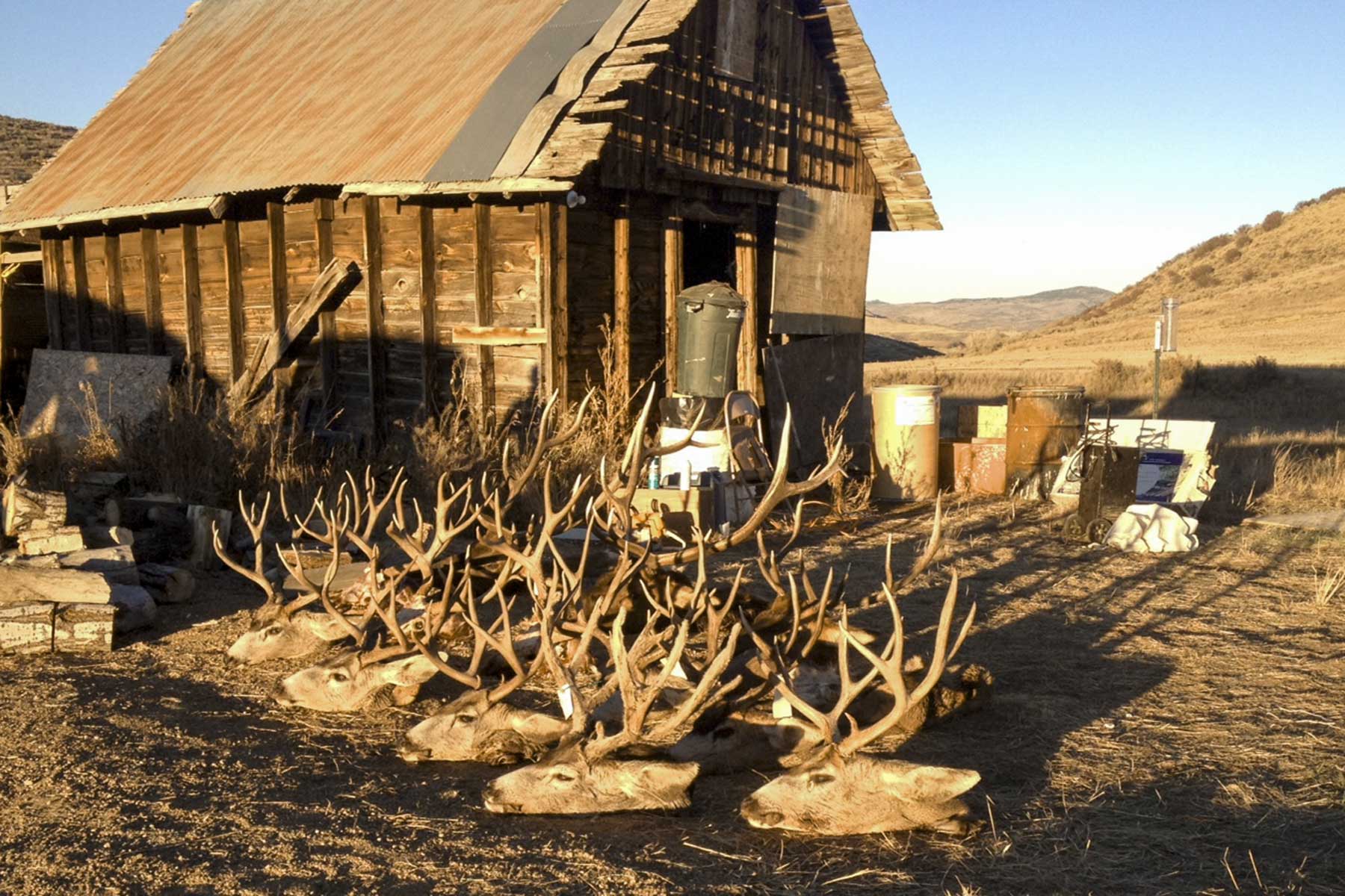 Frentress Ranch property picture 1 of 27