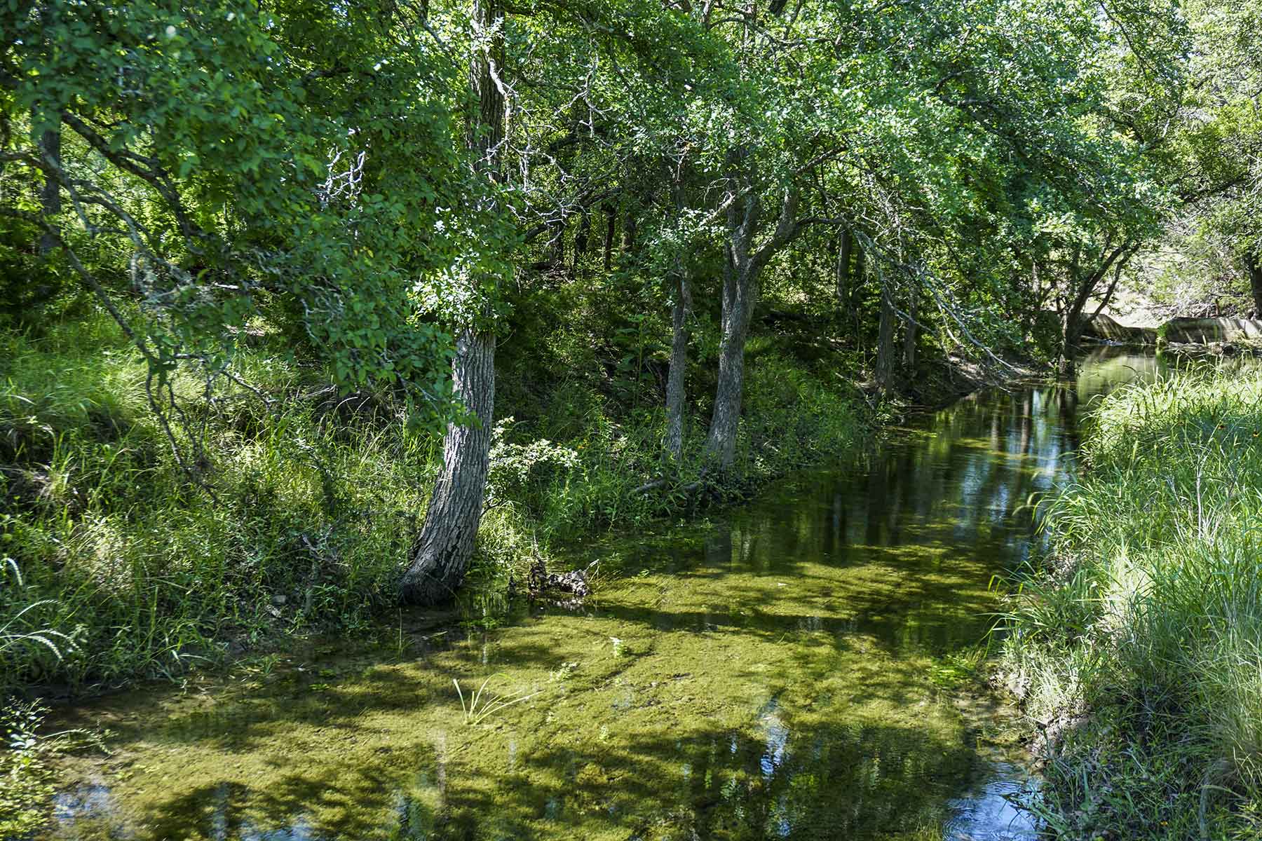 Calohan Creek Ranch property picture 2 of 10