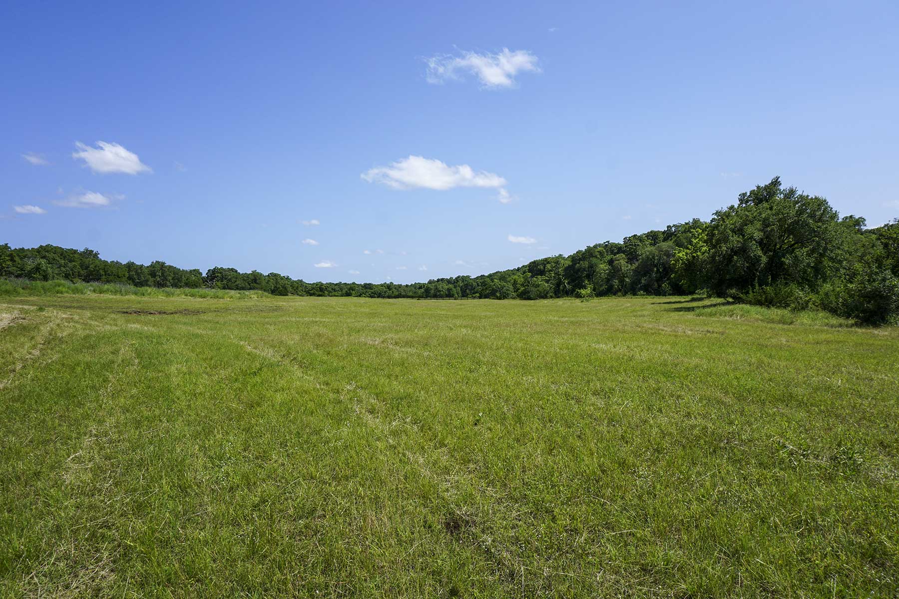 Calohan Creek Ranch property picture 3 of 10