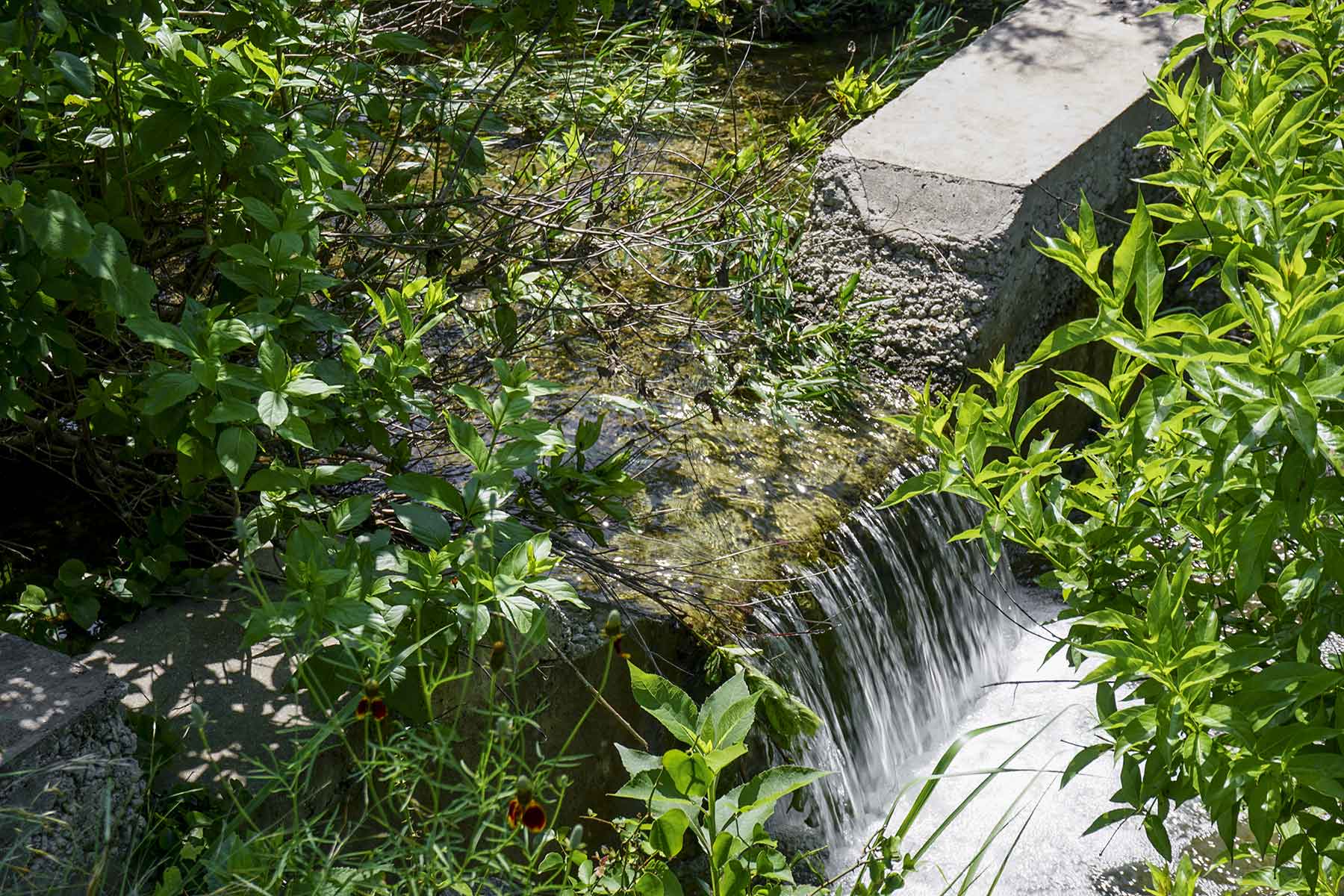 Calohan Creek Ranch property picture 10 of 10