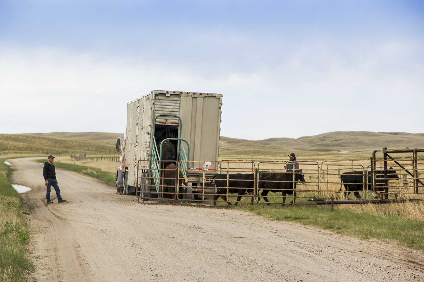 Reese Ranch property picture 11 of 13