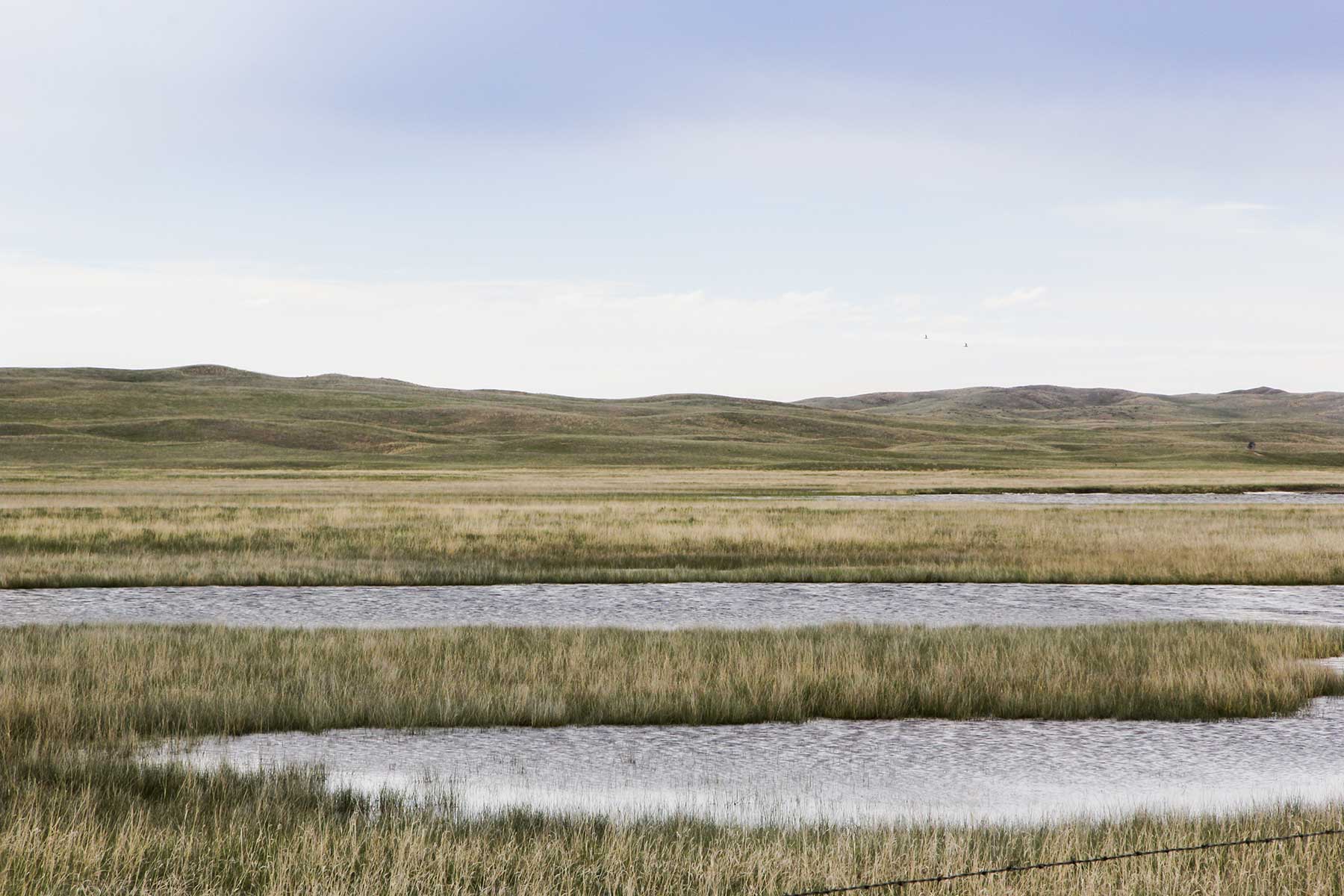 Reese Ranch property picture 10 of 13