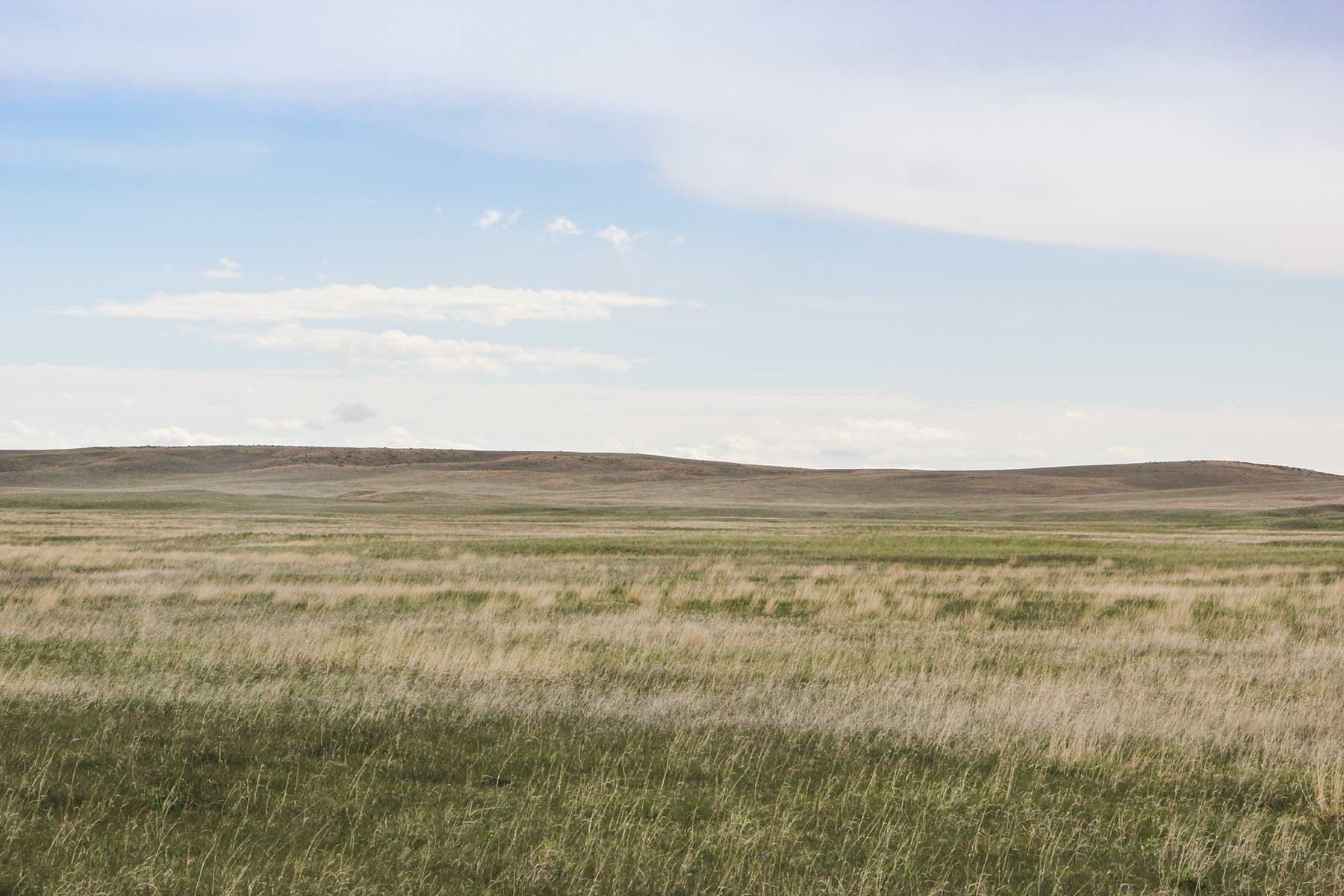 Reese Ranch property picture 9 of 13