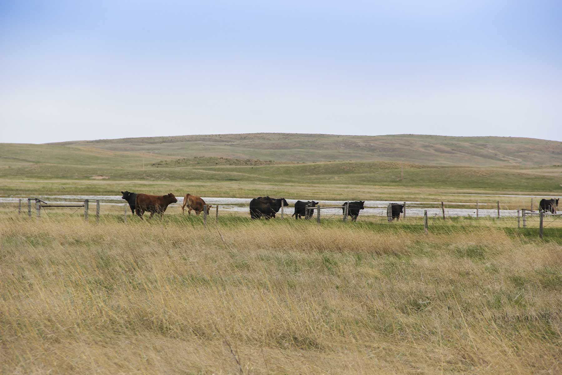 Reese Ranch property picture 8 of 13