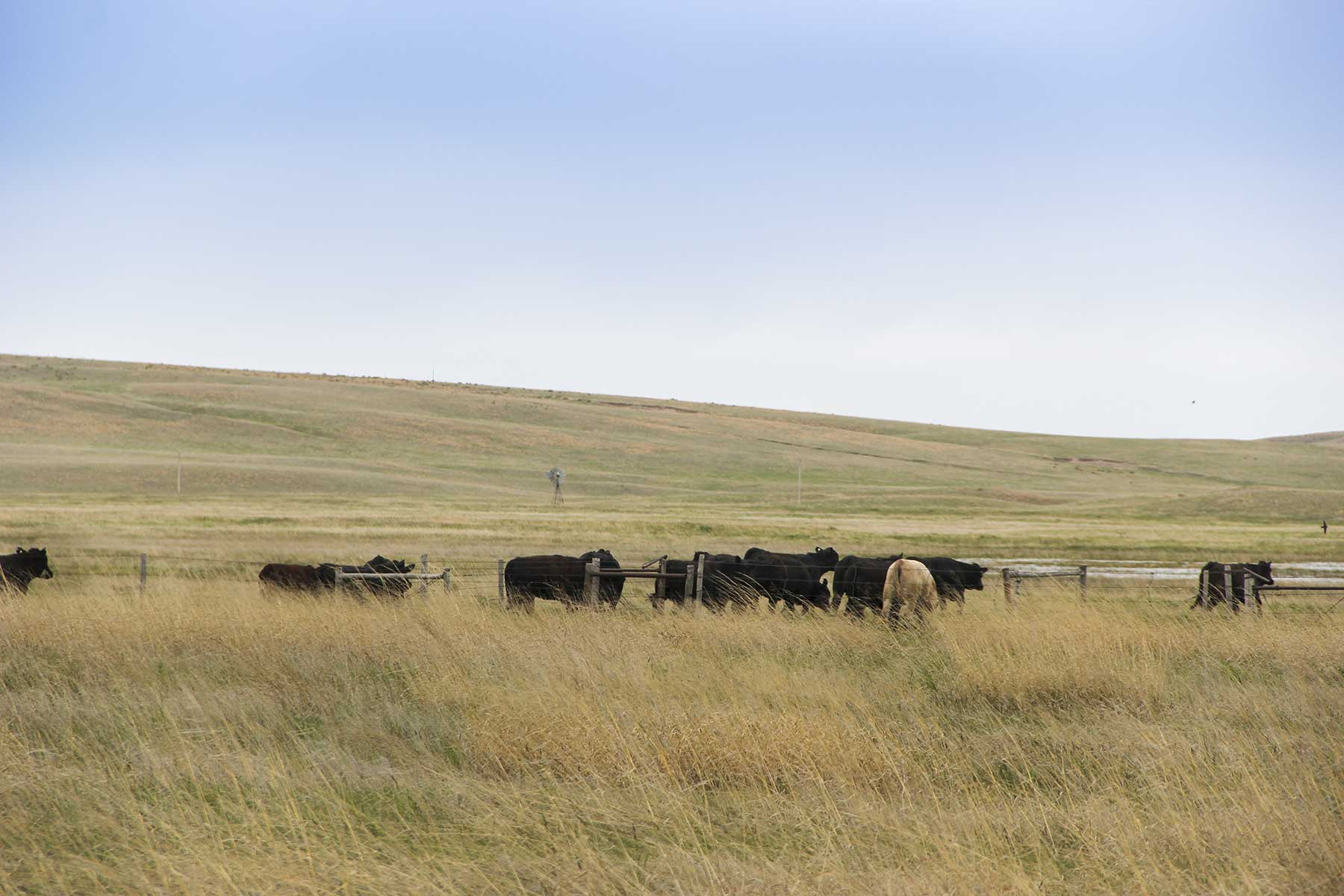 Reese Ranch property picture 7 of 13