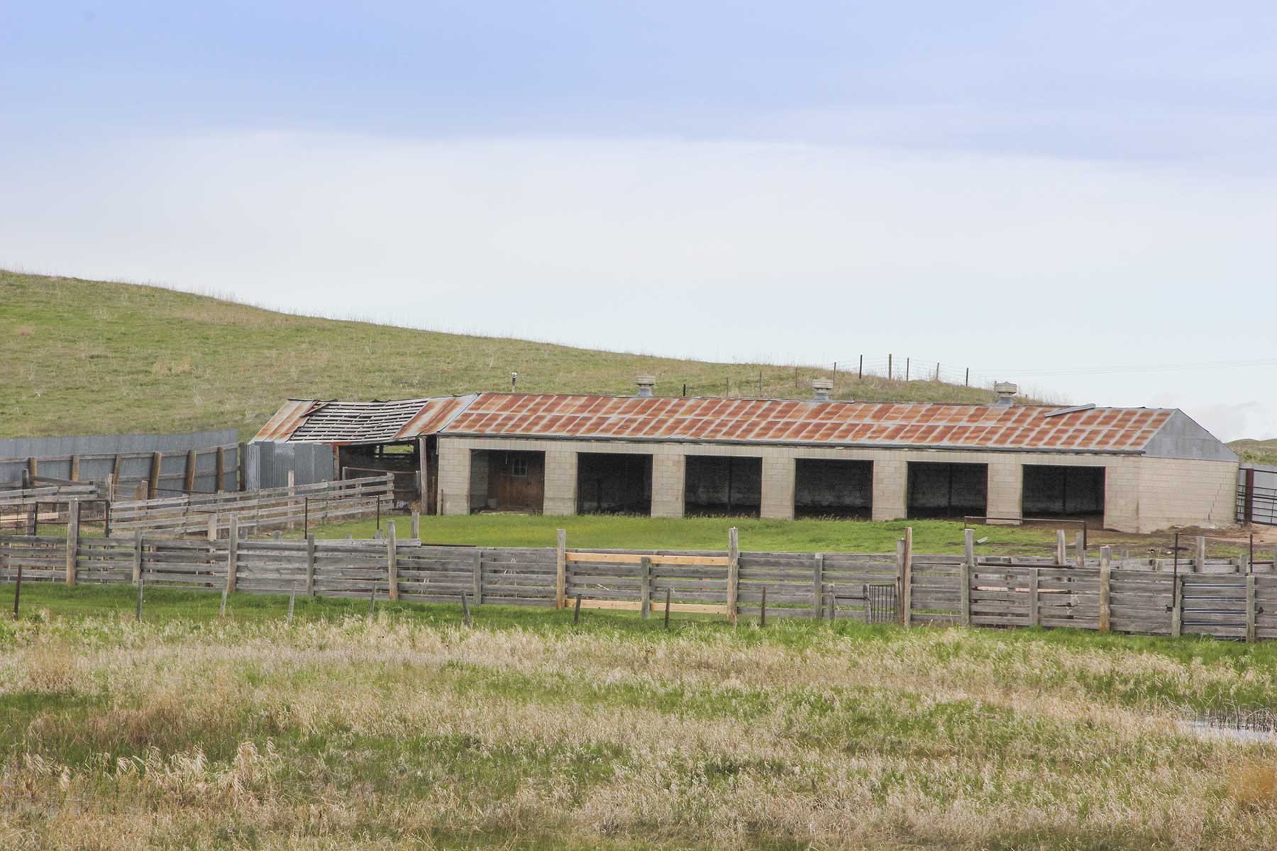 Reese Ranch property picture 6 of 13