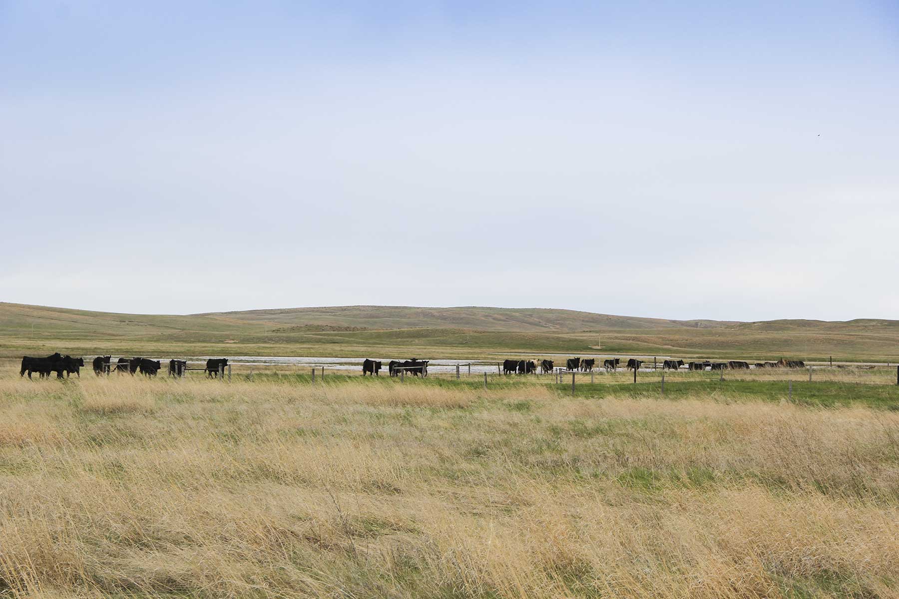 Reese Ranch property picture 13 of 13