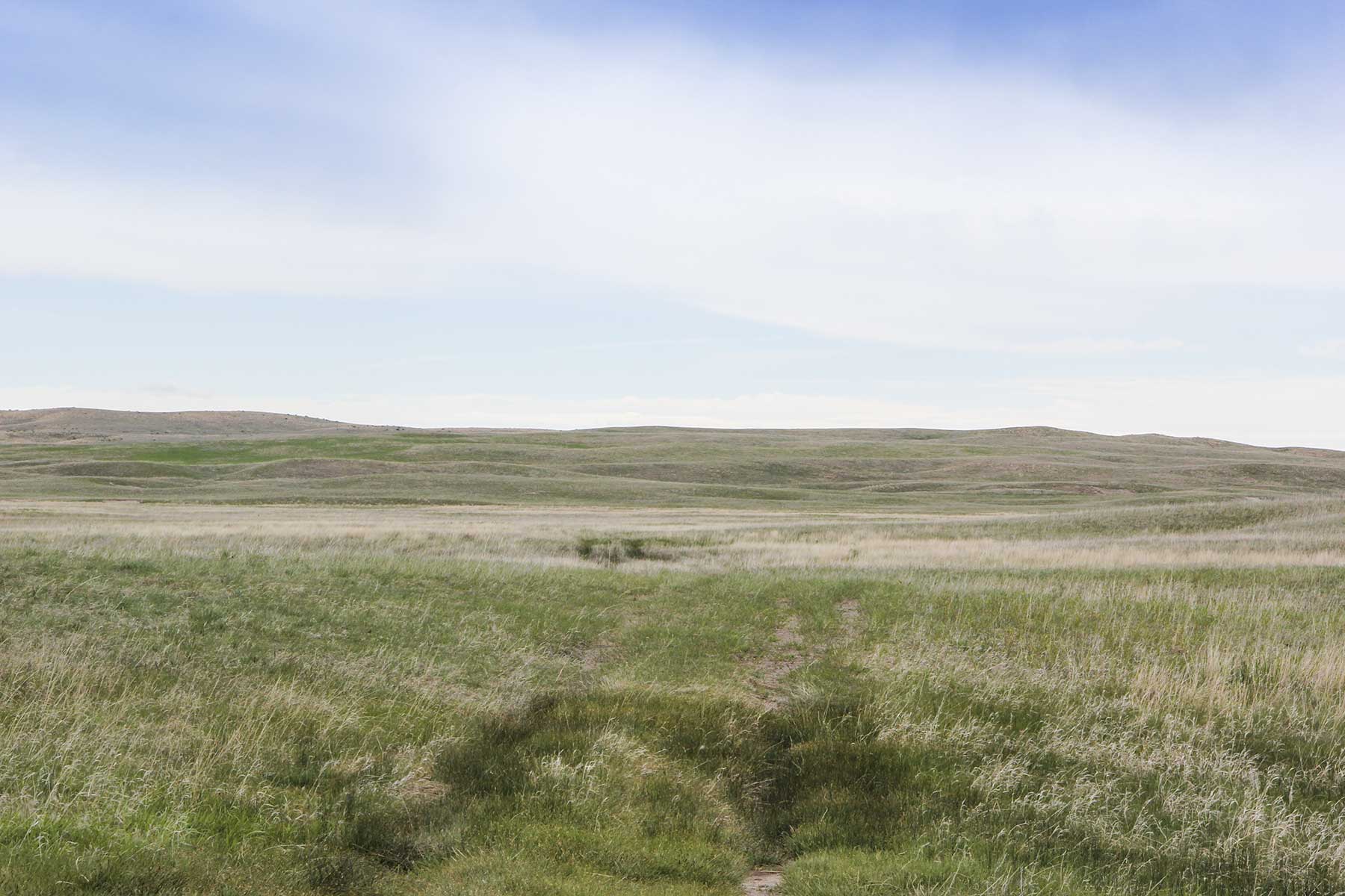 Reese Ranch property picture 5 of 13