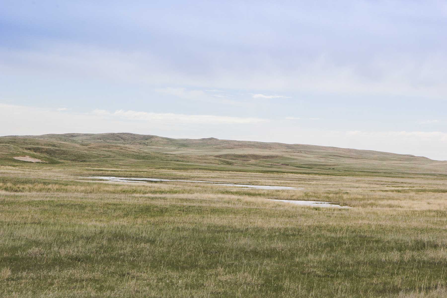 Reese Ranch property picture 4 of 13