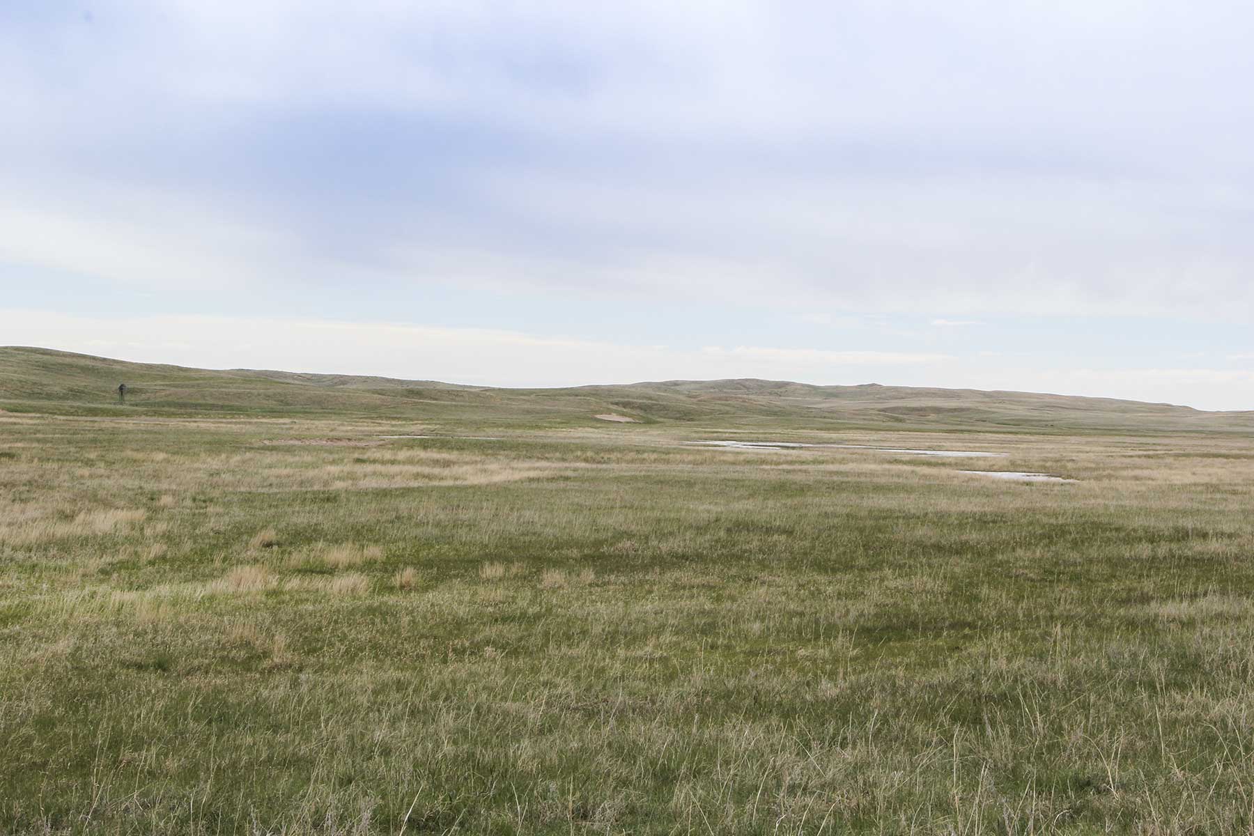 Reese Ranch property picture 3 of 13