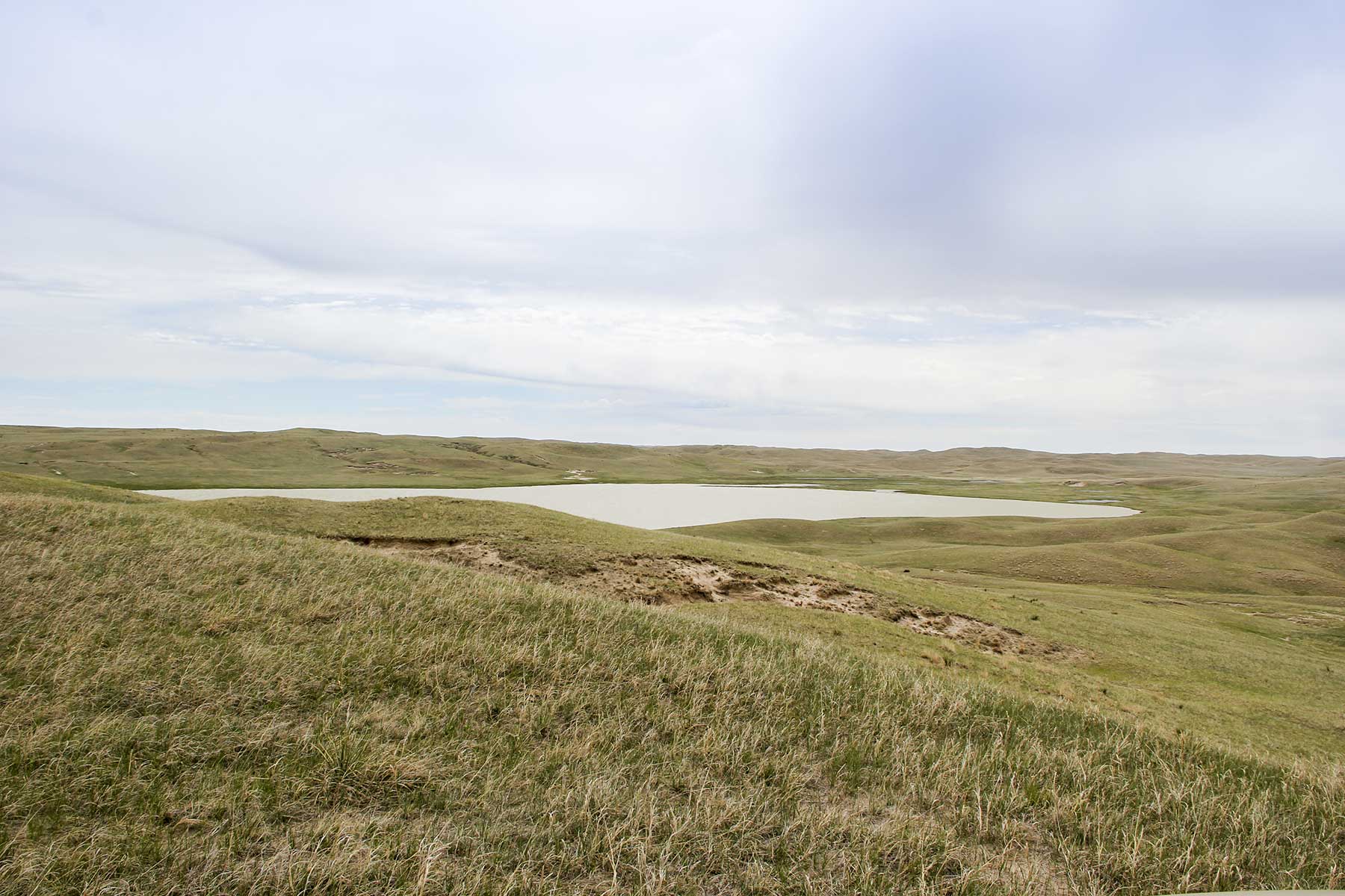 Reese Ranch property picture 2 of 13