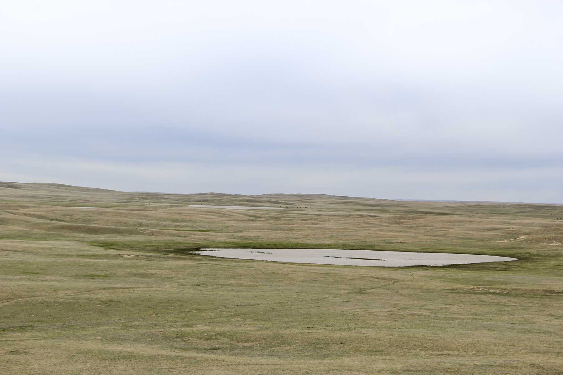 Reese Ranch property picture 12 of 13