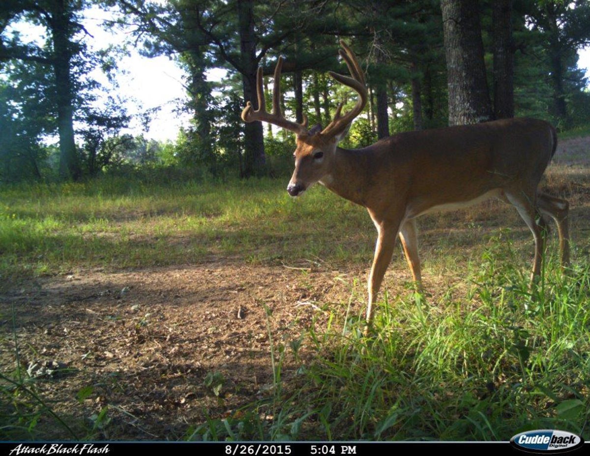 Meadow Creek property picture 56 of 83