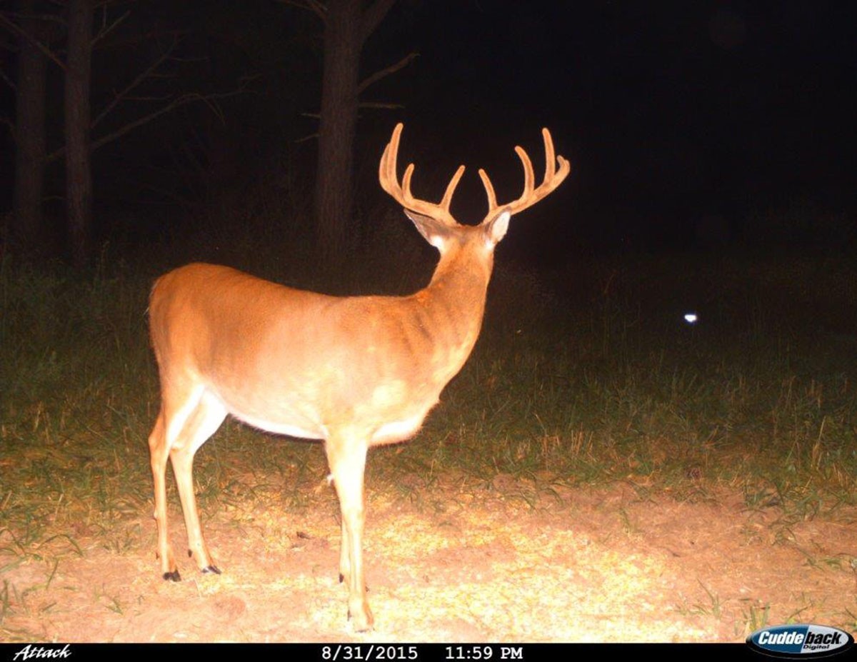 Meadow Creek property picture 57 of 83