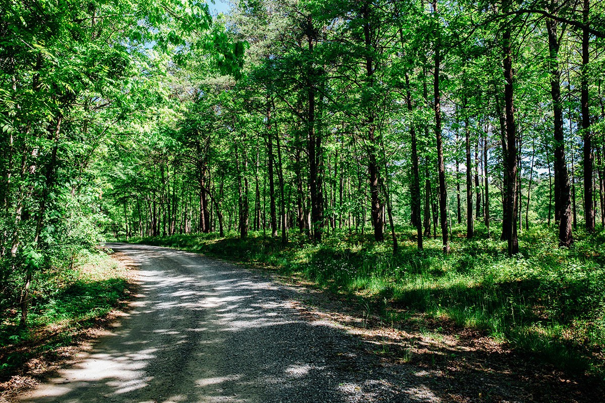 Meadow Creek property picture 64 of 83