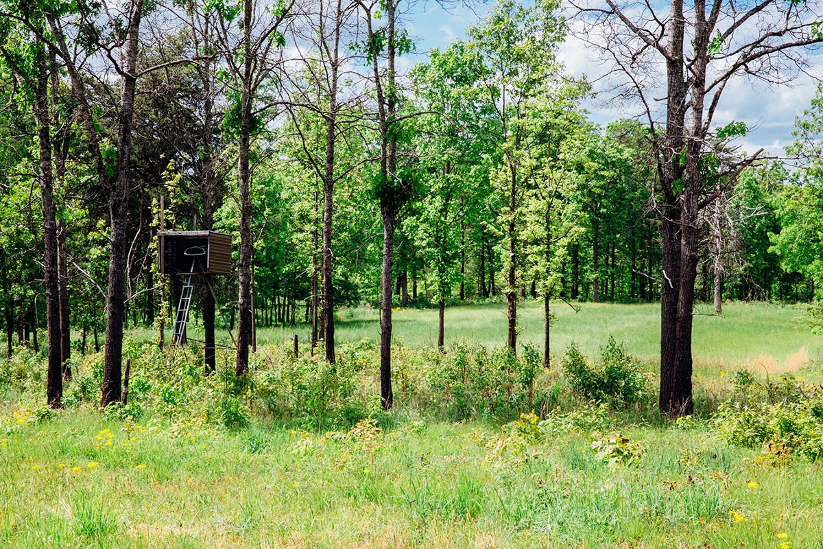 Meadow Creek property picture 21 of 83