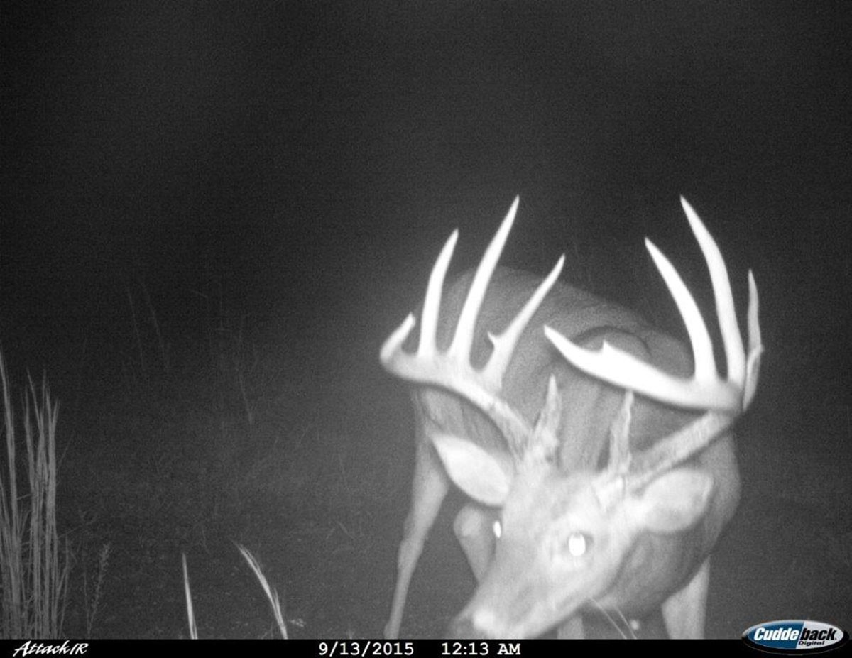 Meadow Creek property picture 60 of 83