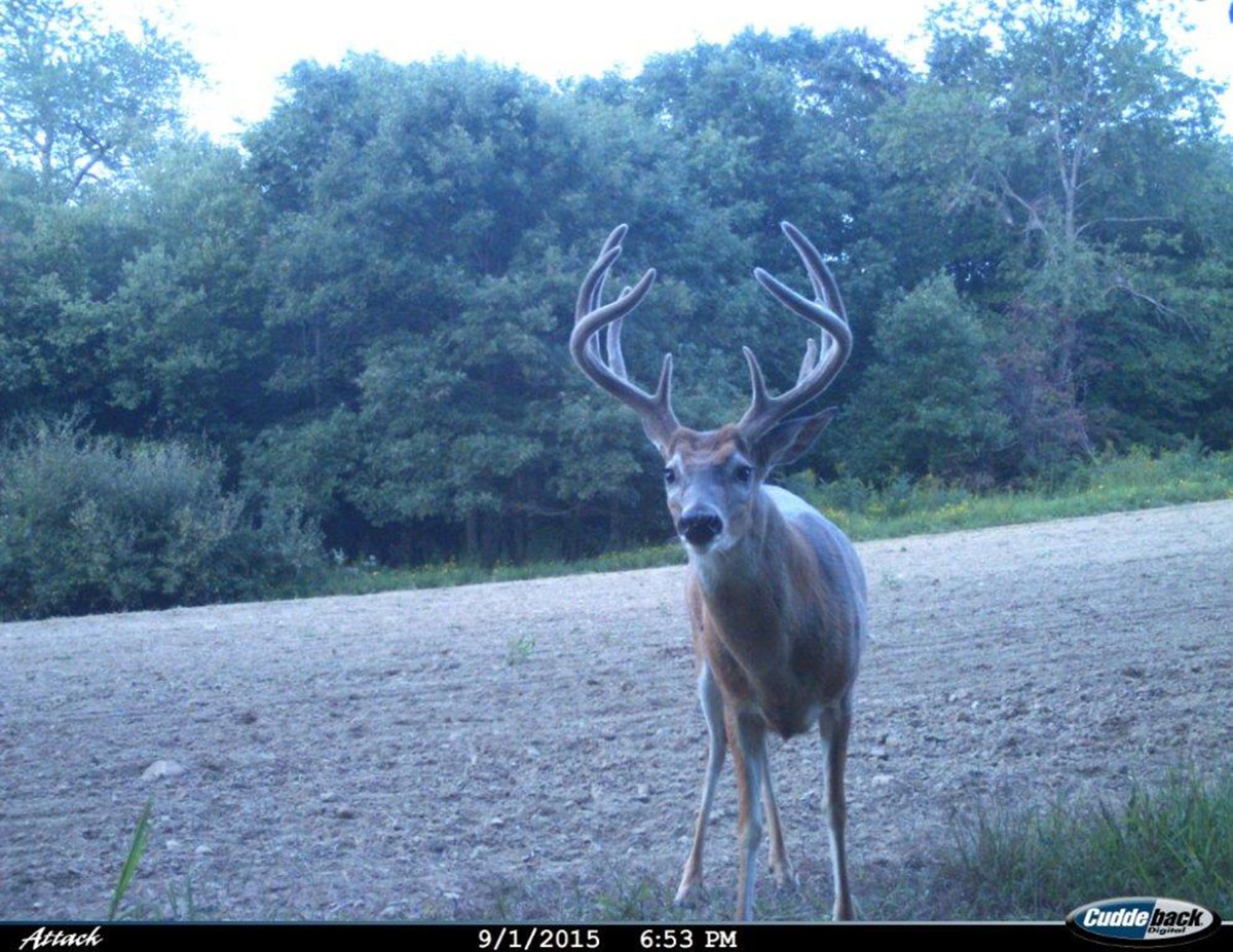 Meadow Creek property picture 59 of 83