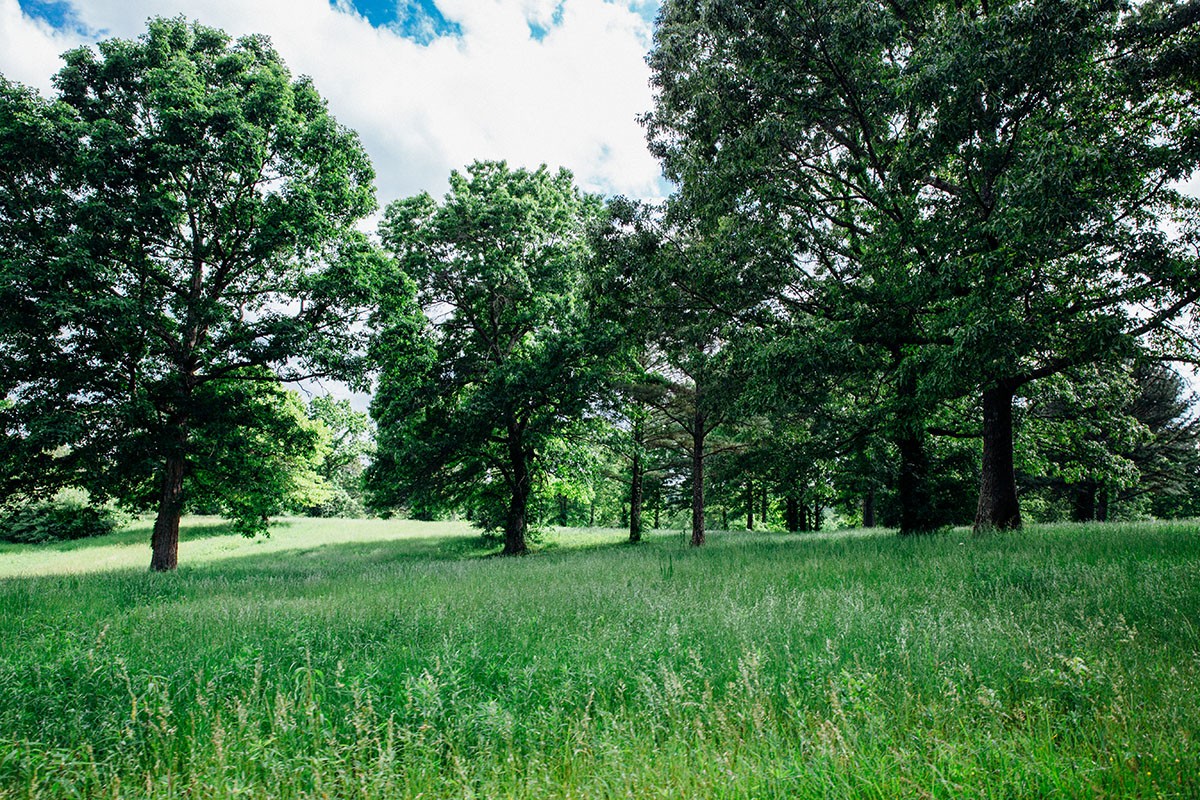 Meadow Creek property picture 23 of 83