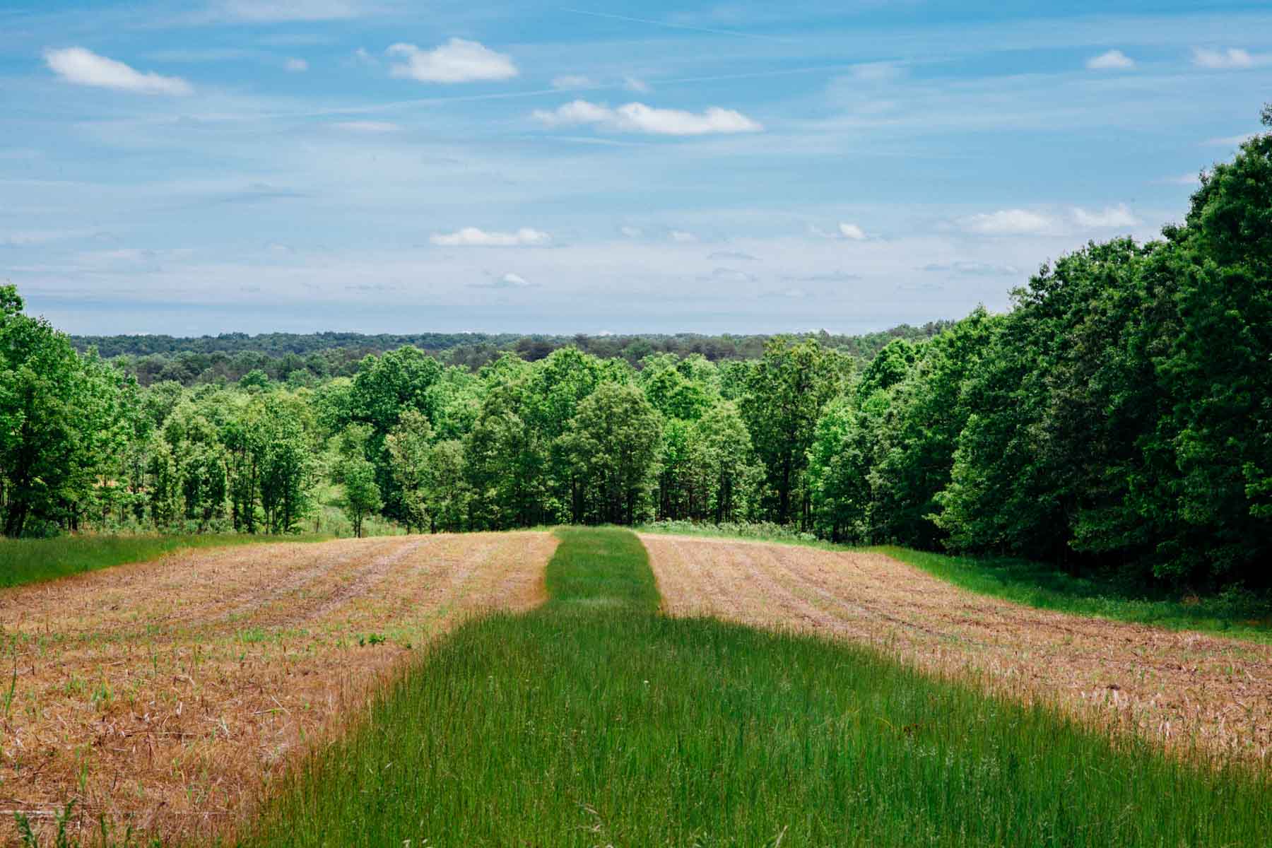 Meadow Creek property picture 4 of 83