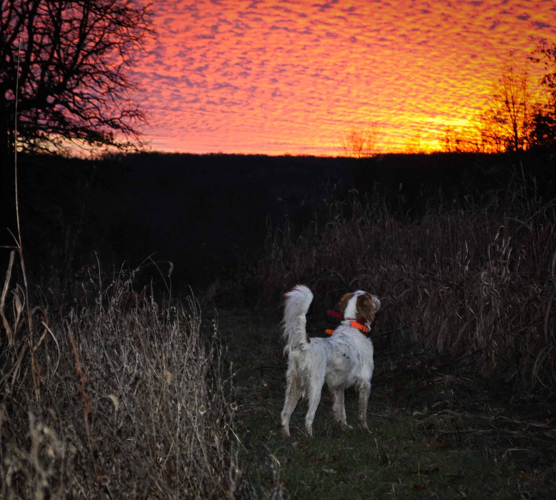Meadow Creek property picture 19 of 83