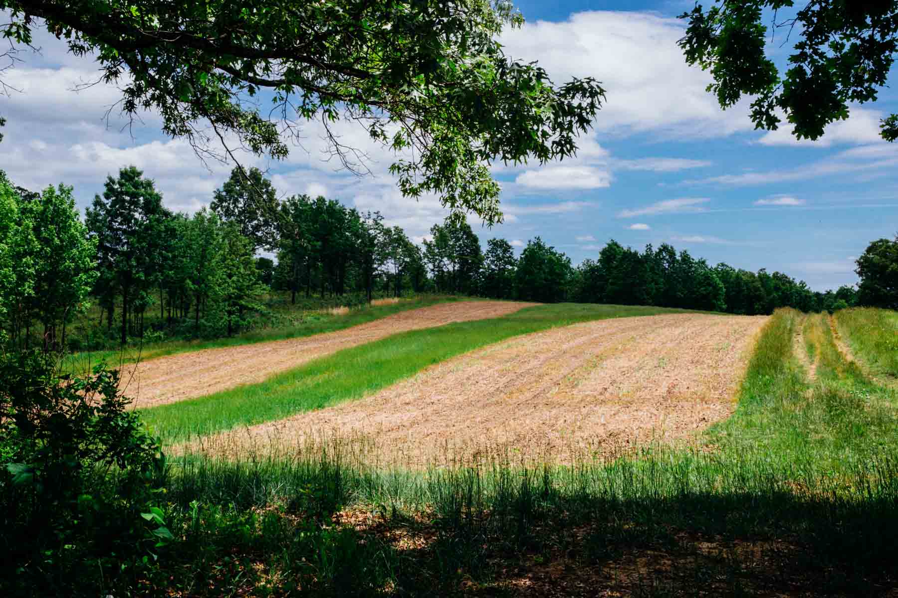 Meadow Creek property picture 22 of 83