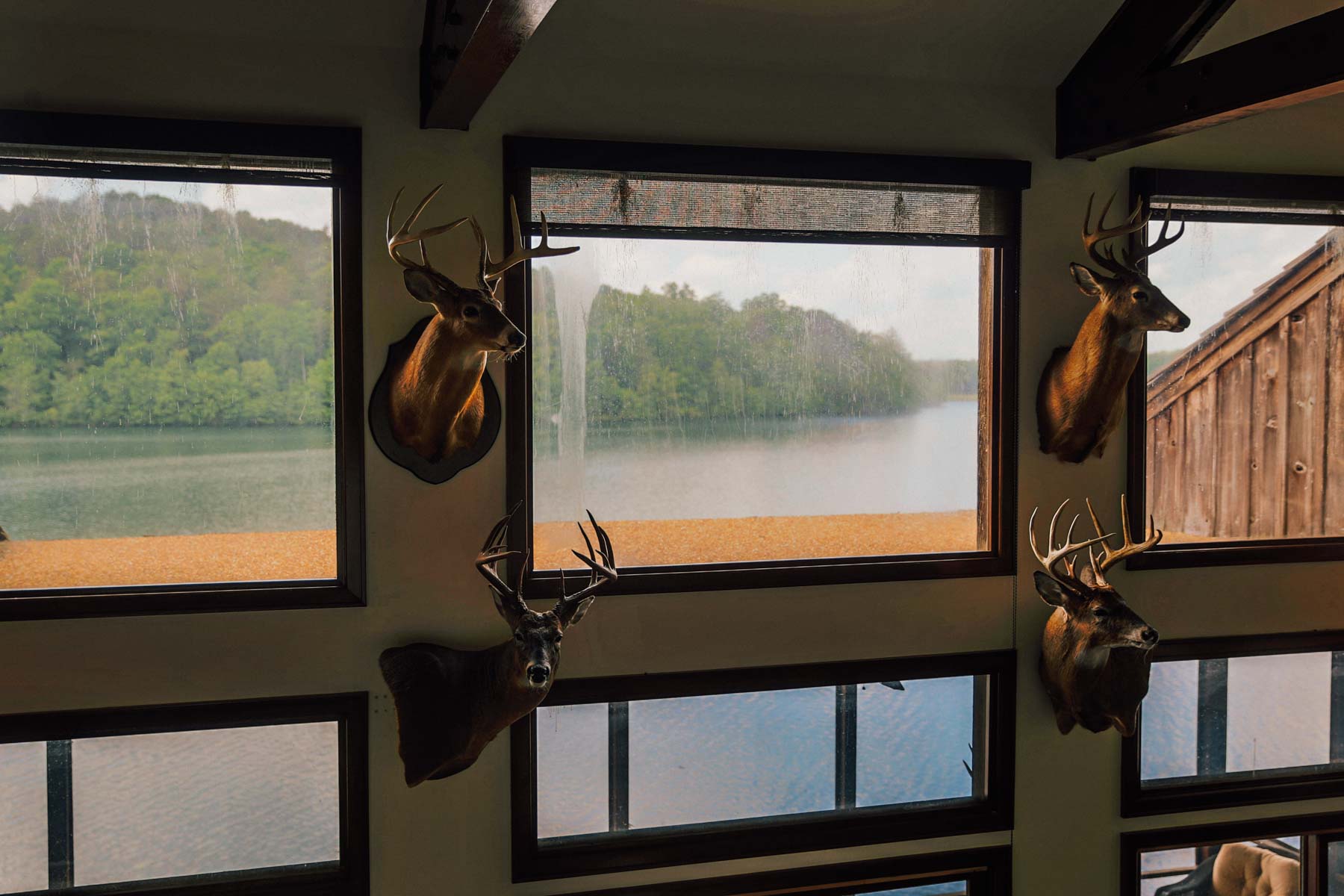 Meadow Creek property picture 39 of 83