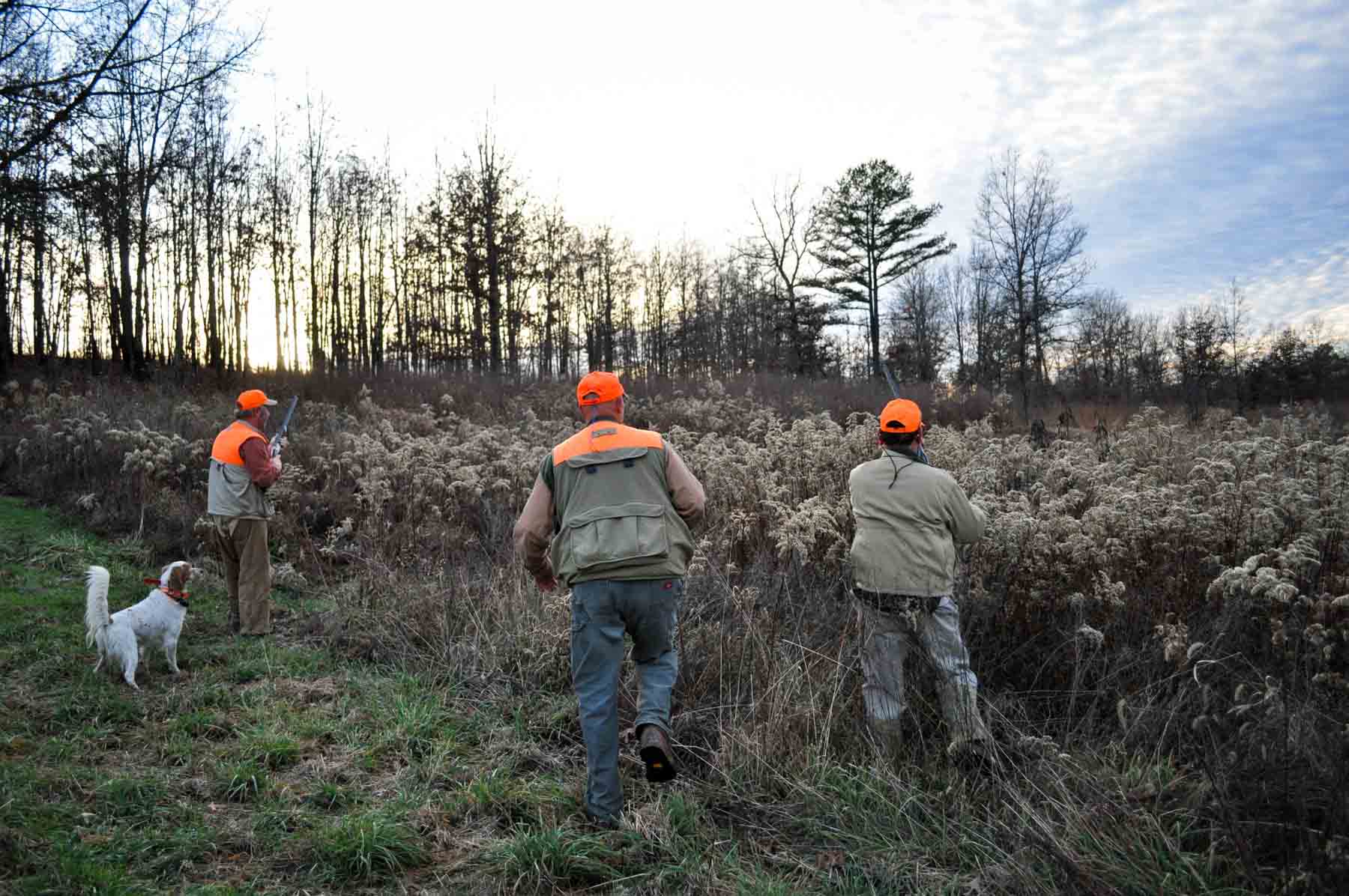 Meadow Creek property picture 52 of 83