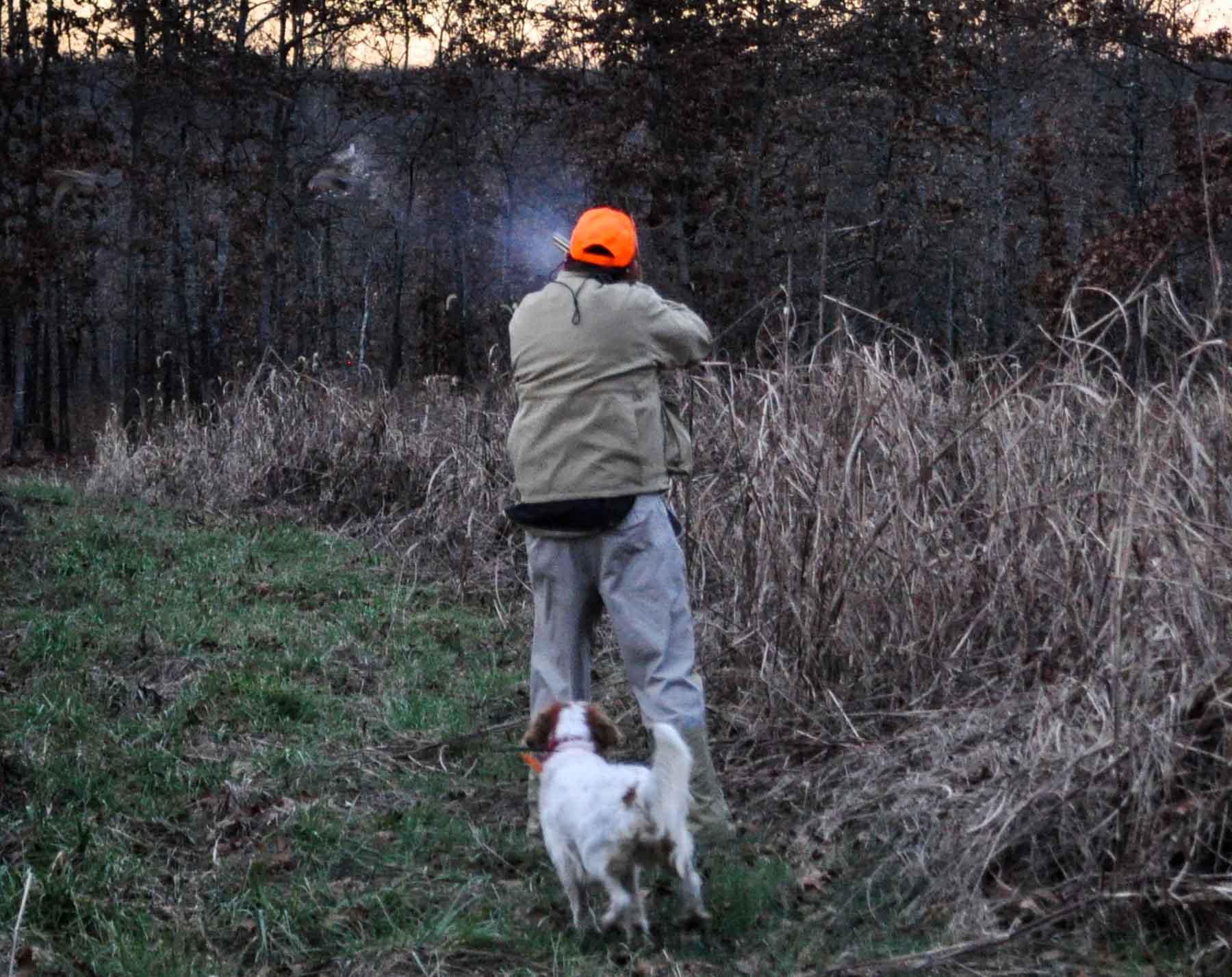 Meadow Creek property picture 54 of 83