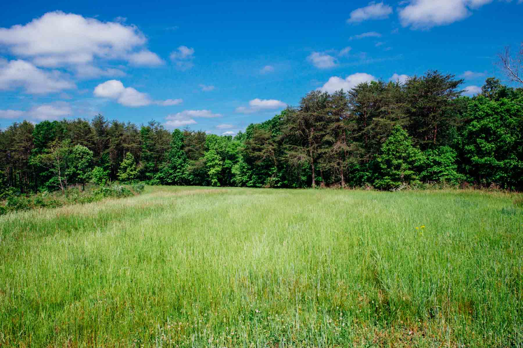 Meadow Creek property picture 63 of 83